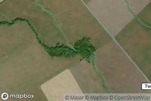 Grassy Branch
