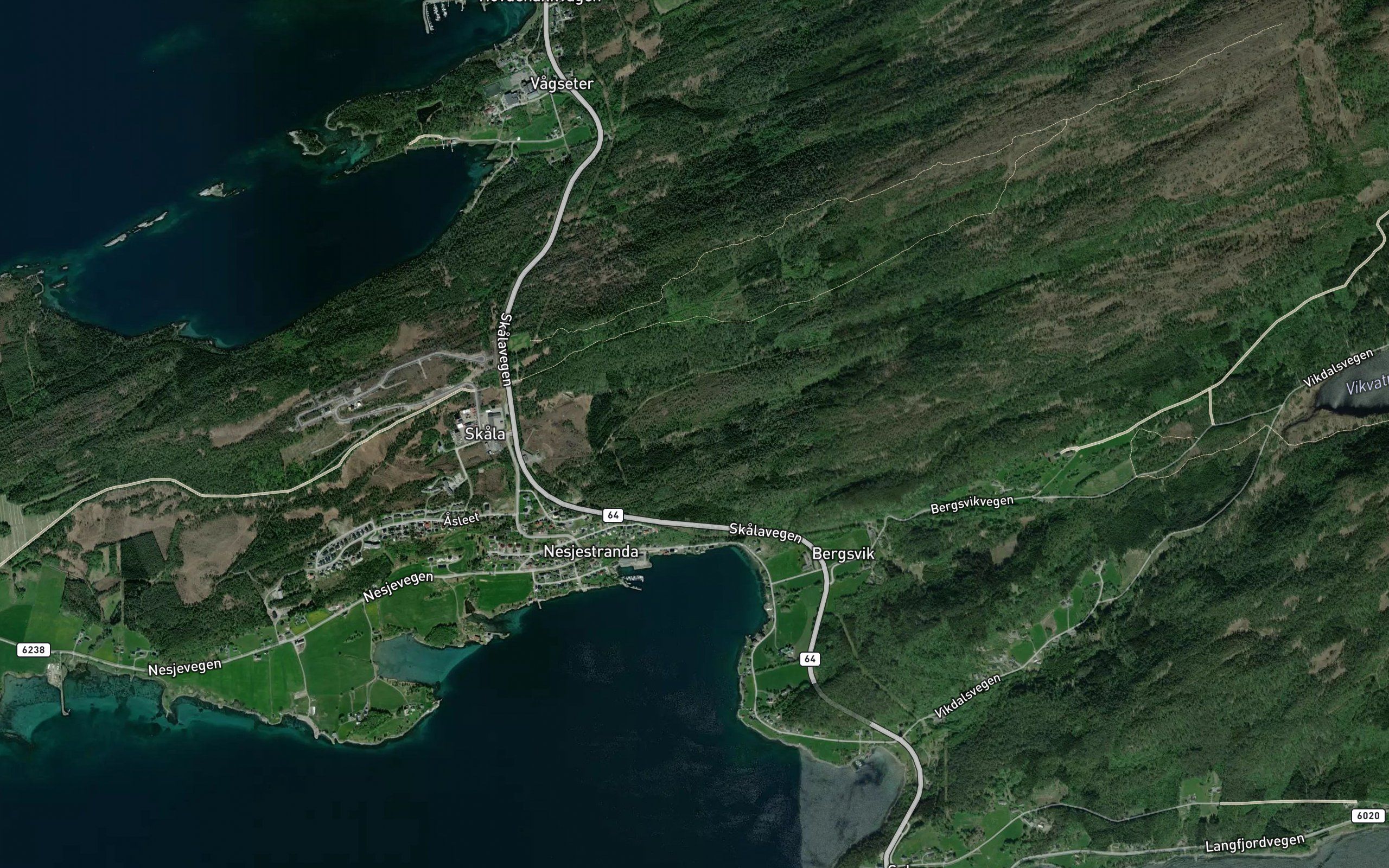 Steinsaelva