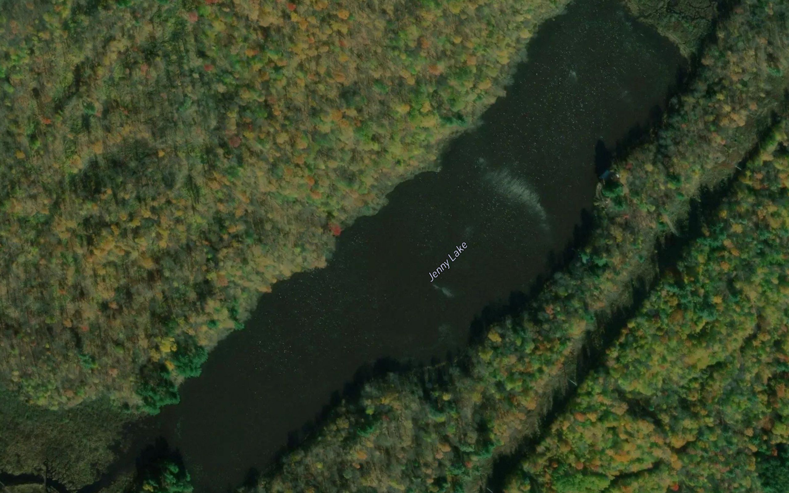 Jenny Lake