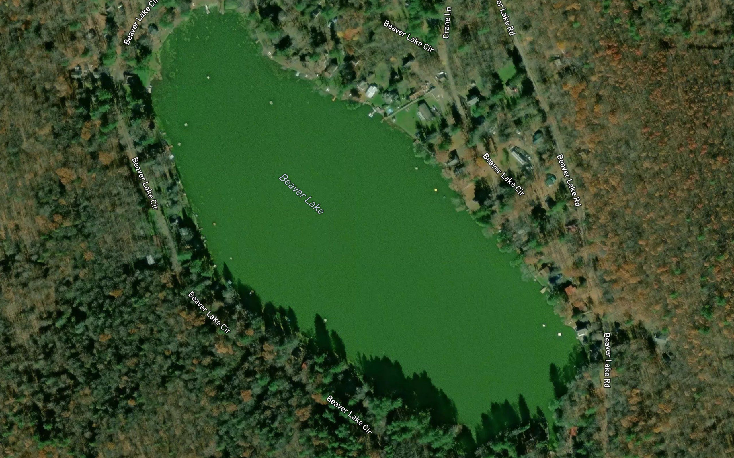 Beaver Lake