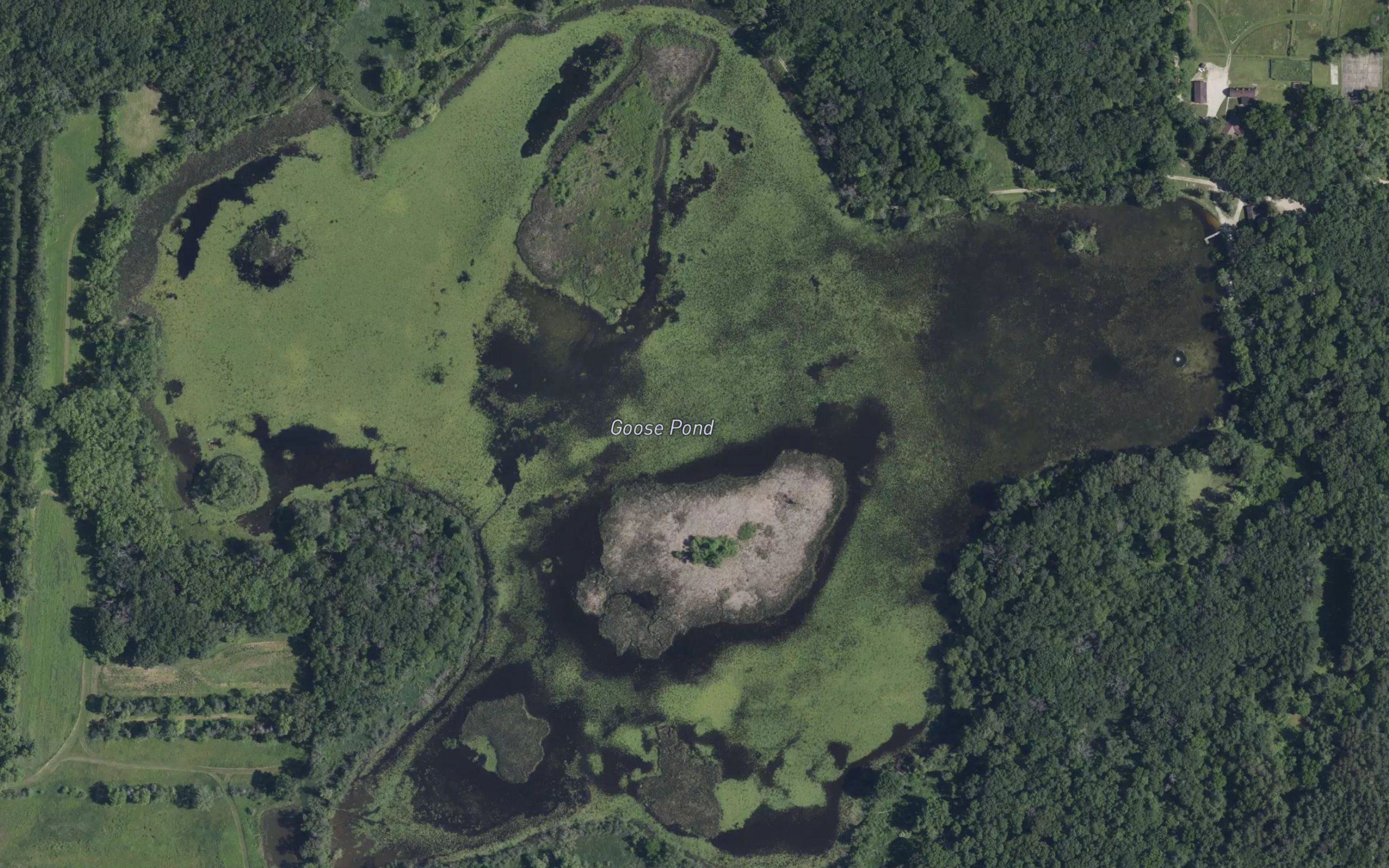 Goose Pond