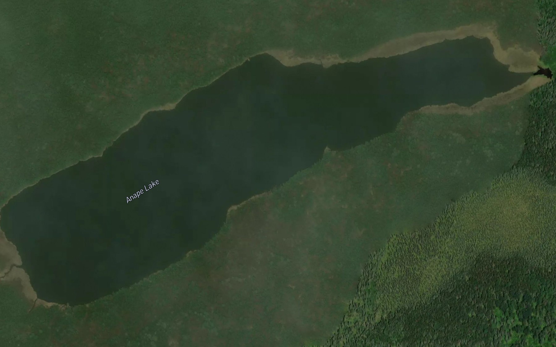 Satellite map of the Anape Lake