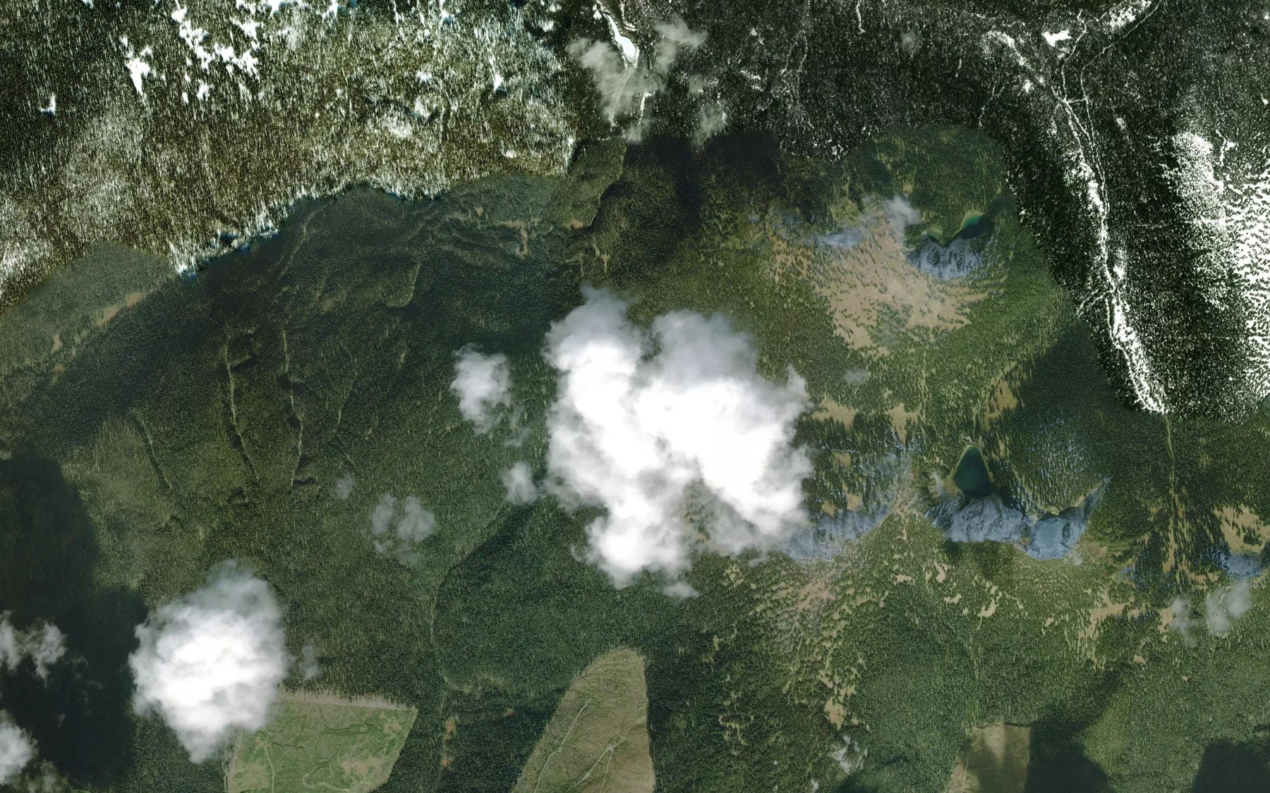 Satellite map of the Black Lake