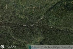 Nestor Creek