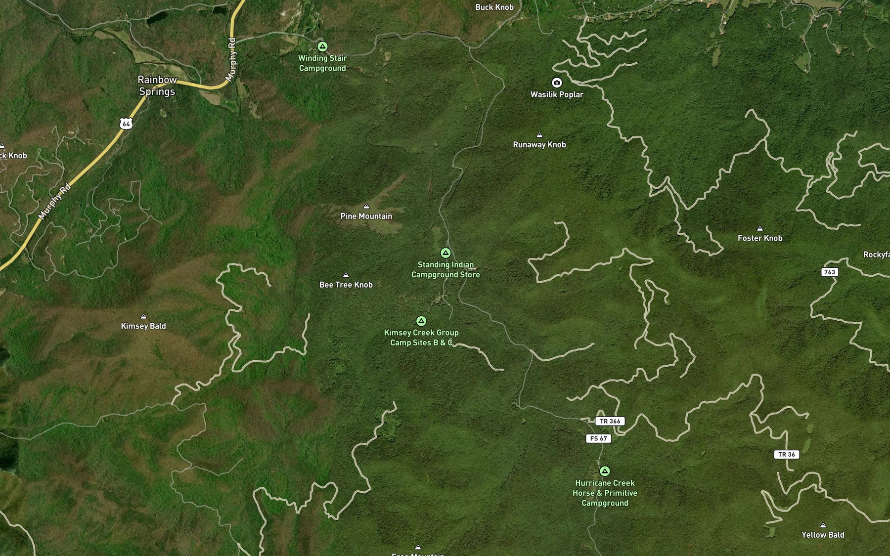 Satellite map of the Long Branch