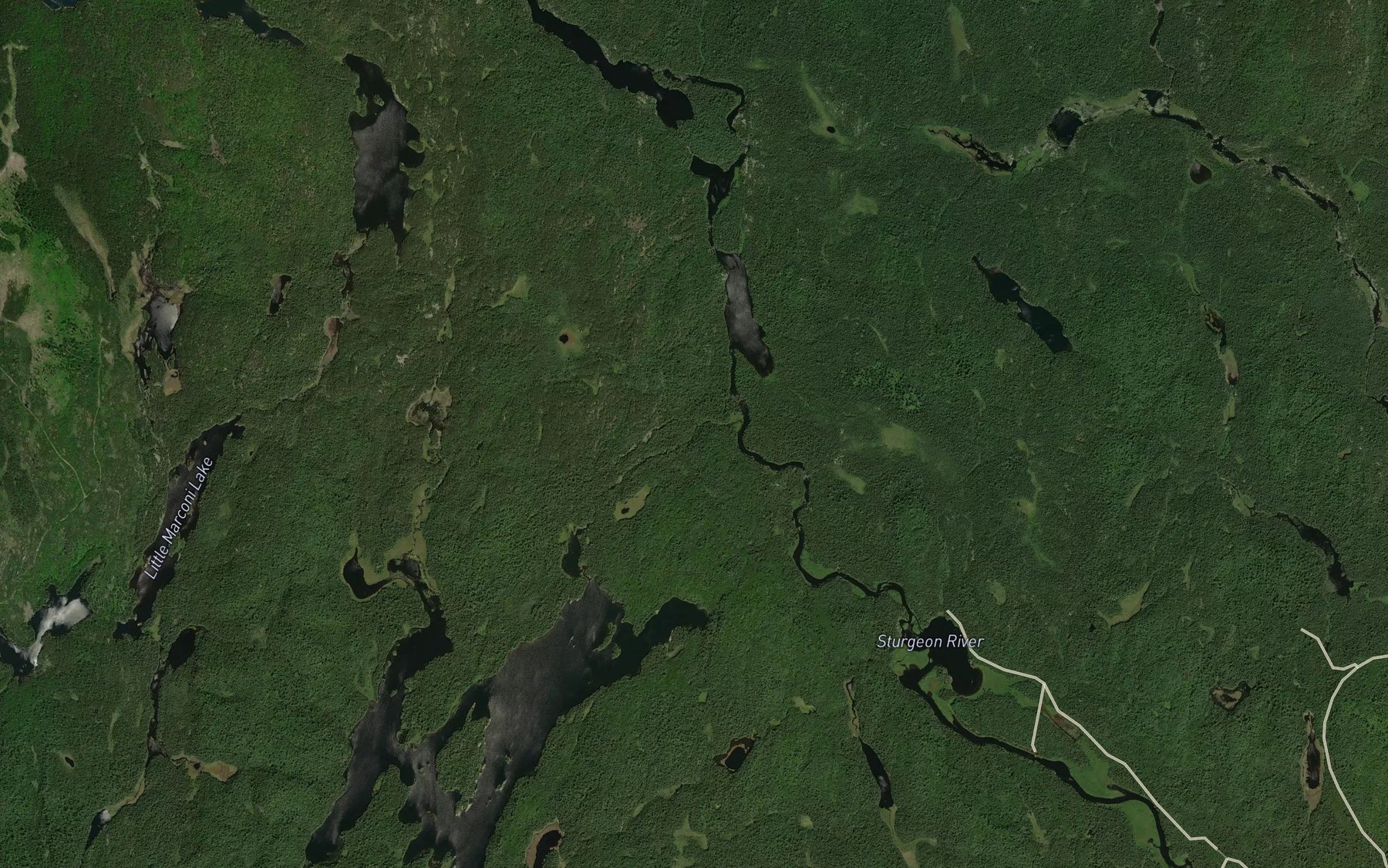 Satellite map of the Dougherty Creek