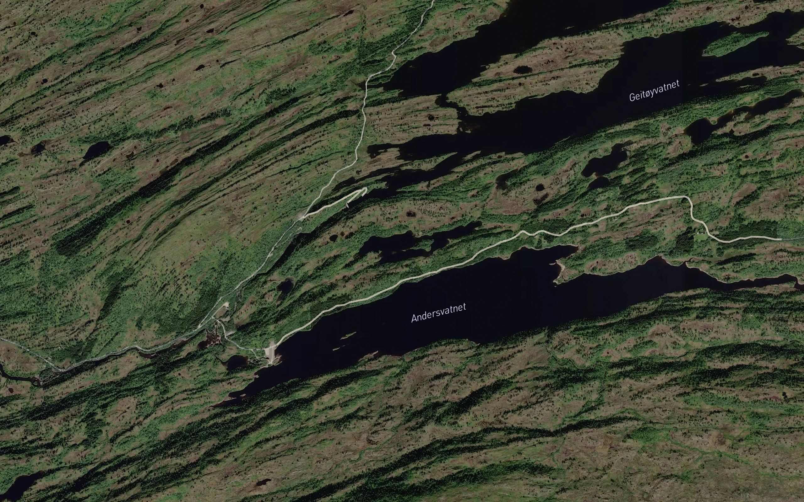 Hoglivatnet