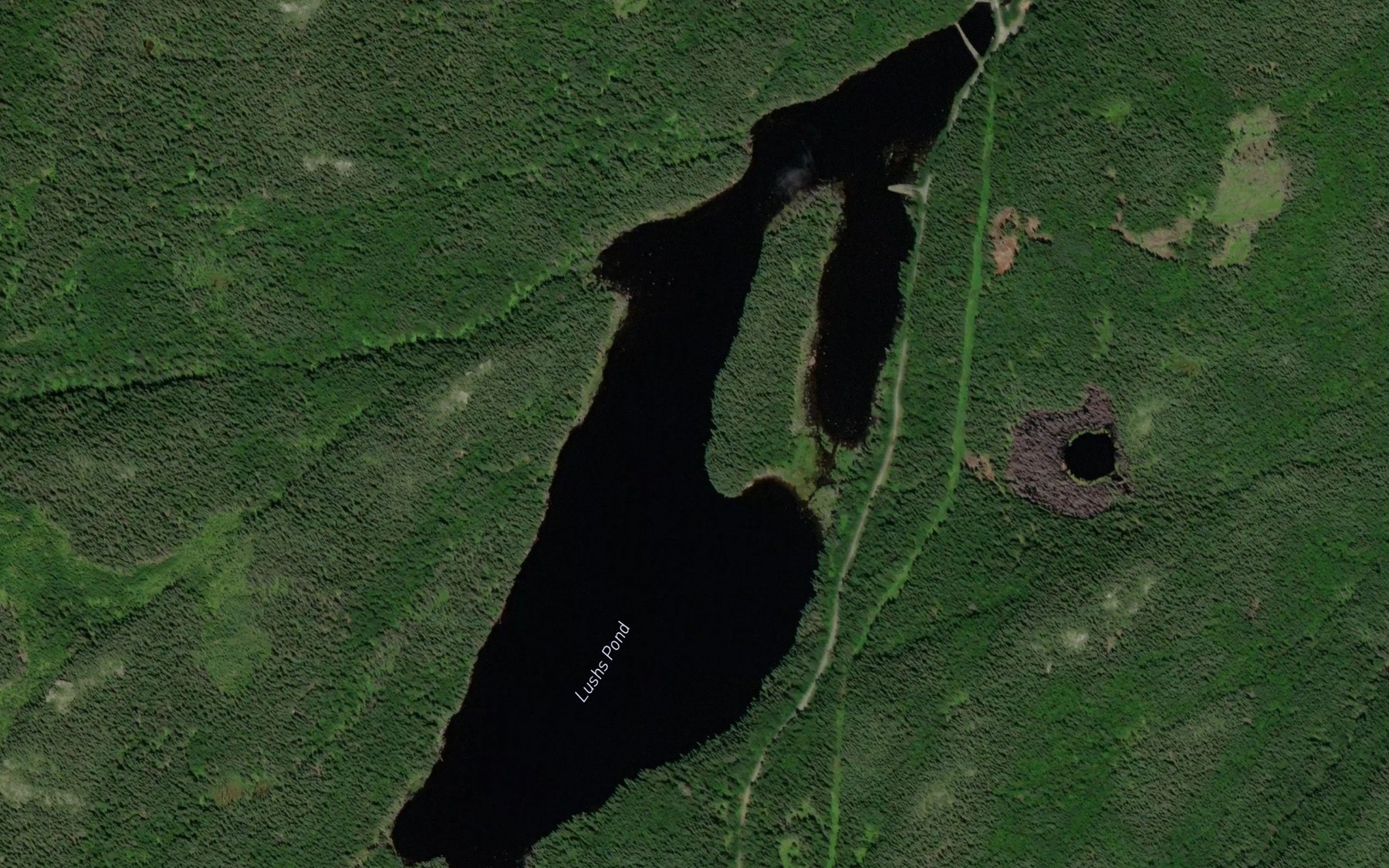 Satellite map of the Lushs Pond