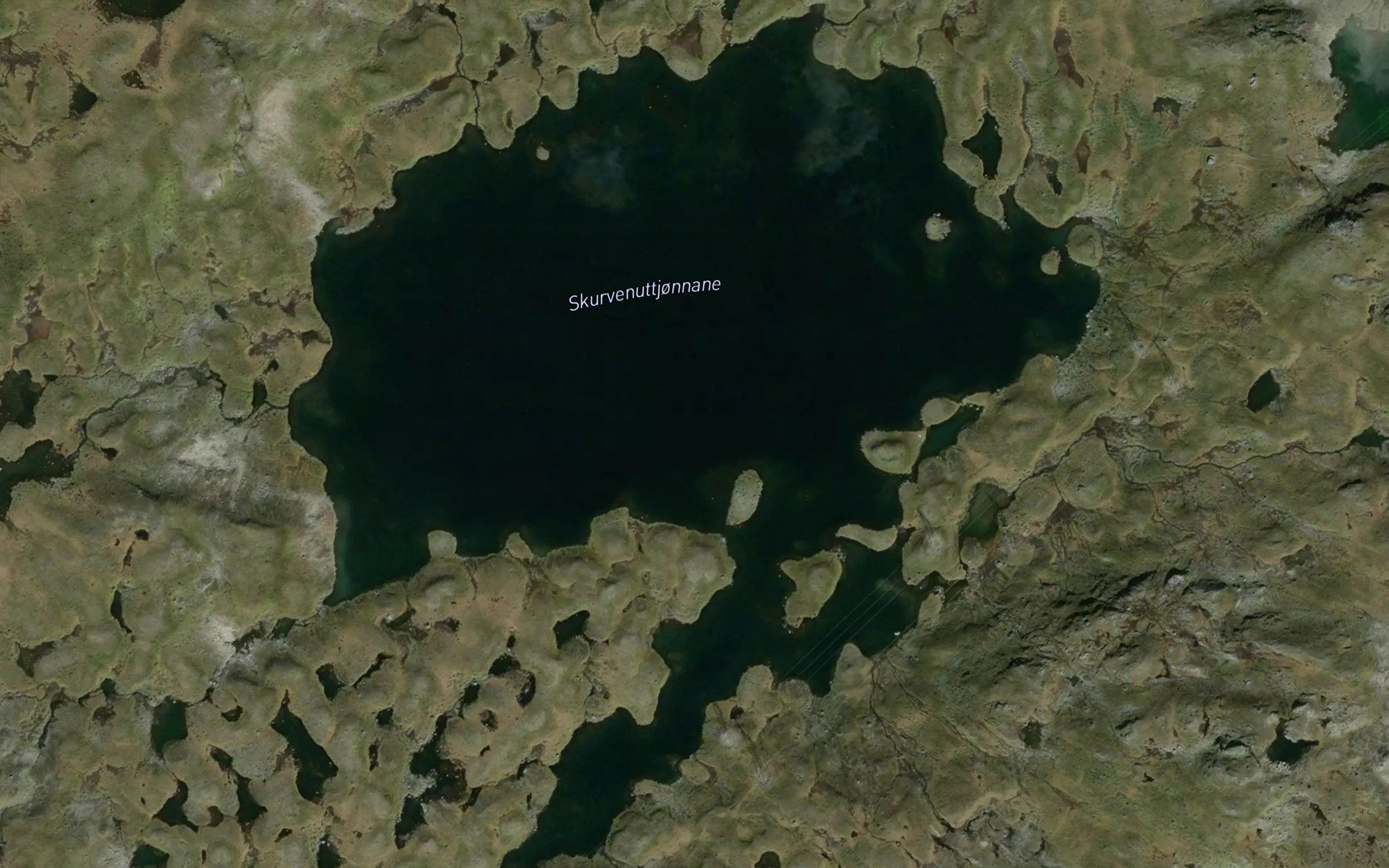 Skurvenuttjonnane
