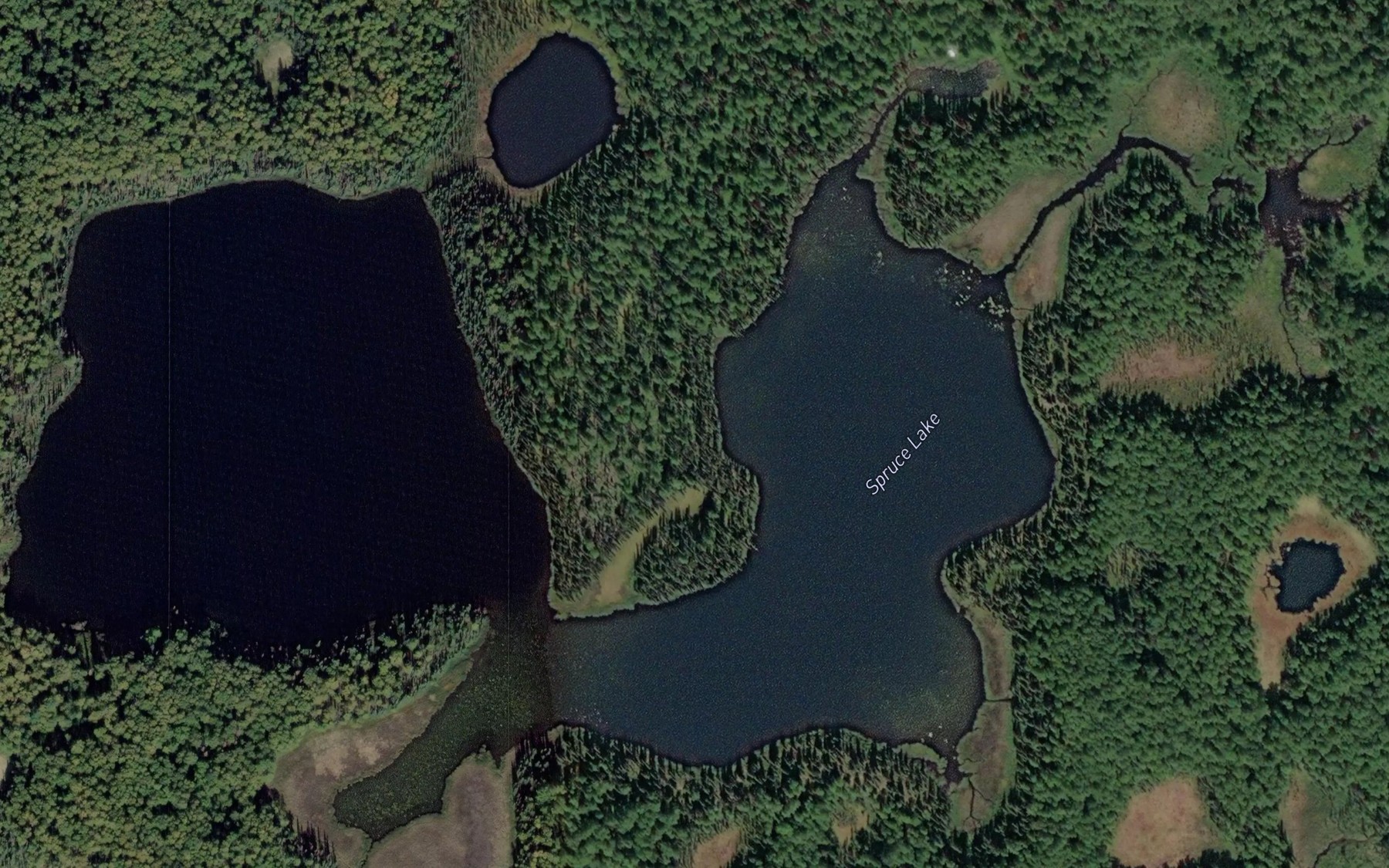 Satellite map of the Spruce Lake