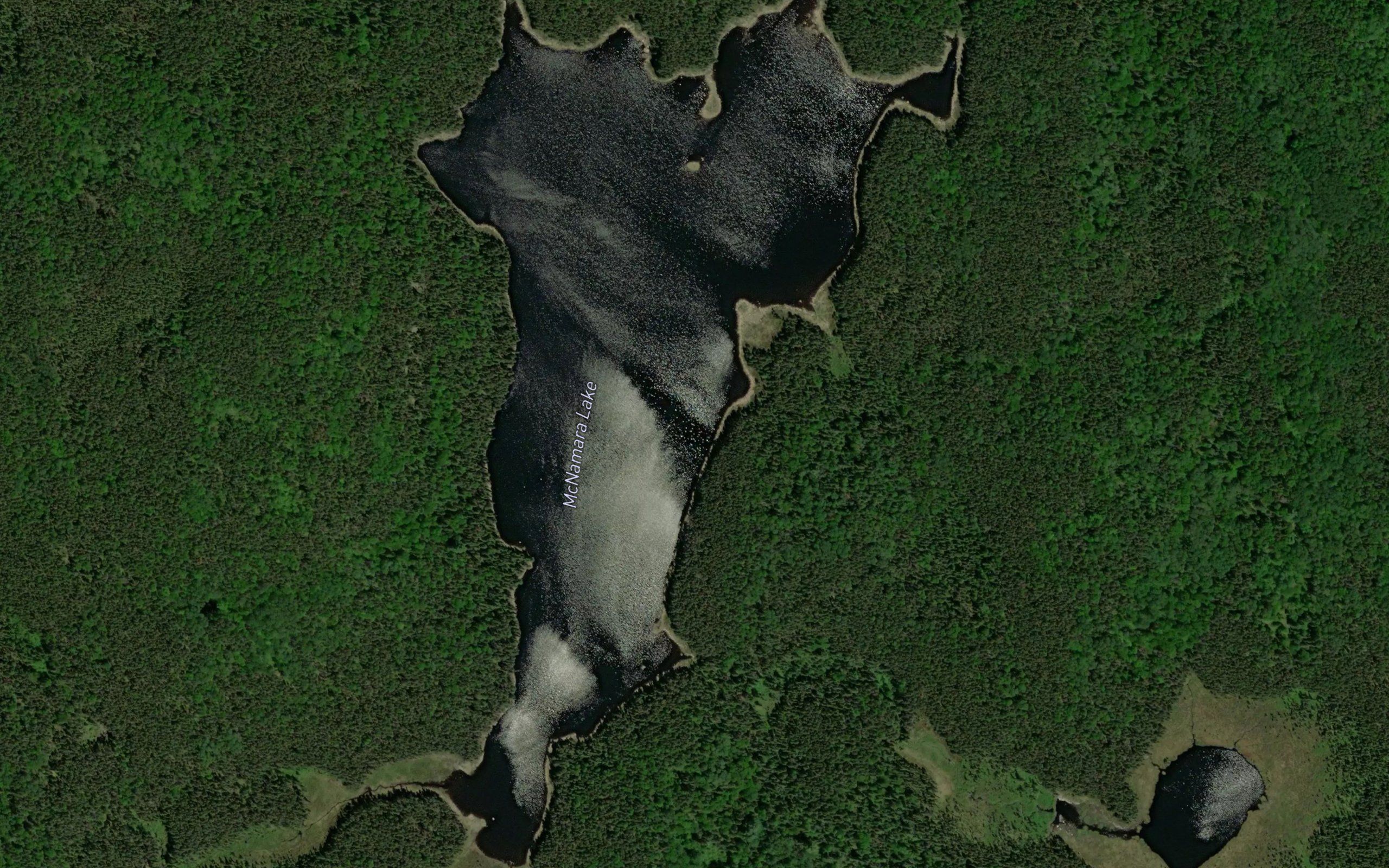 McNamara Lake