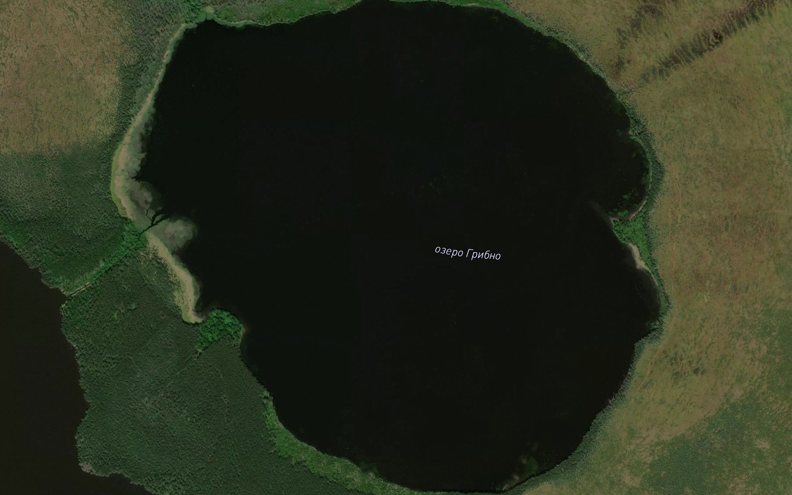 Ozero Gribno