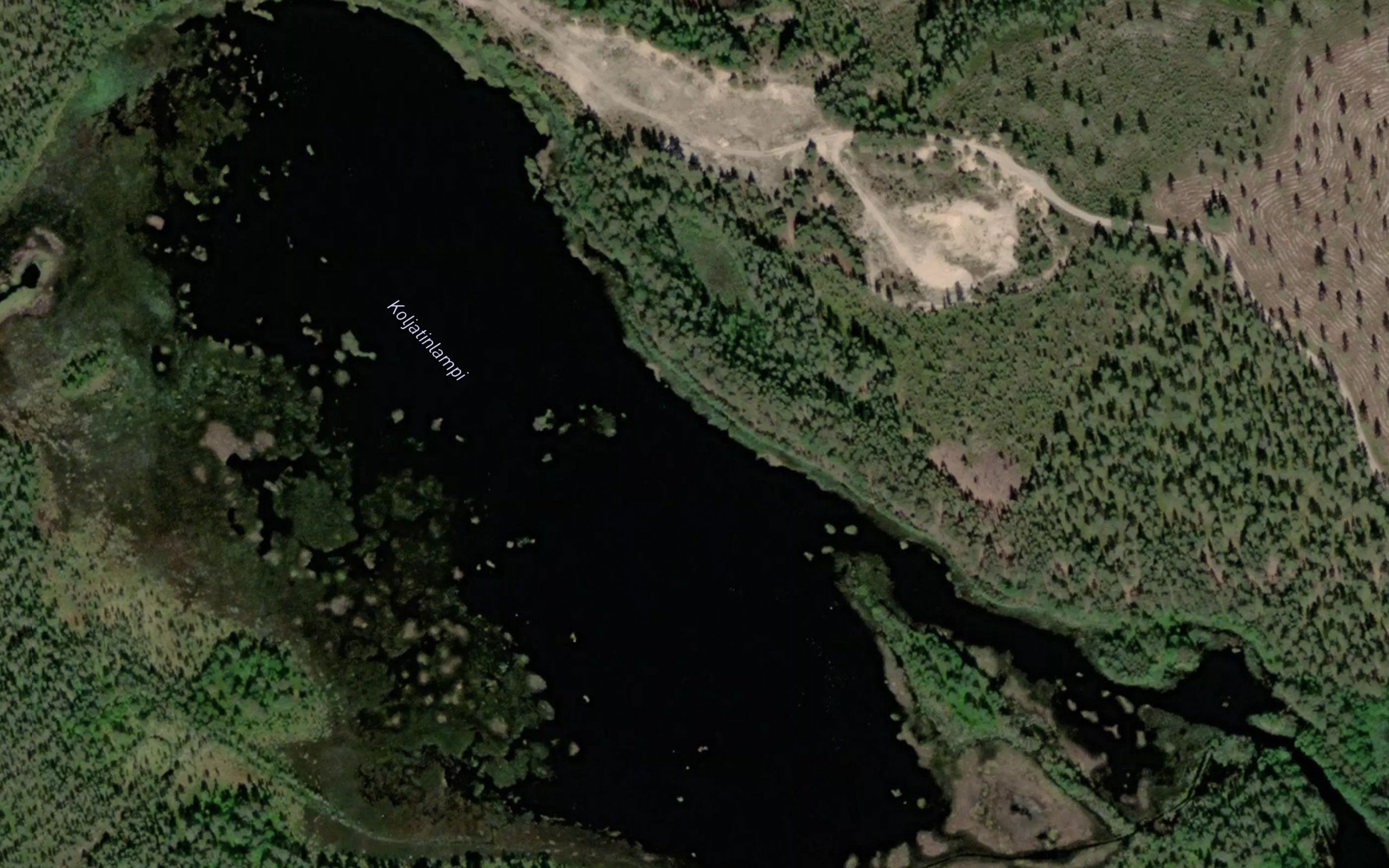 Koljatinlampi