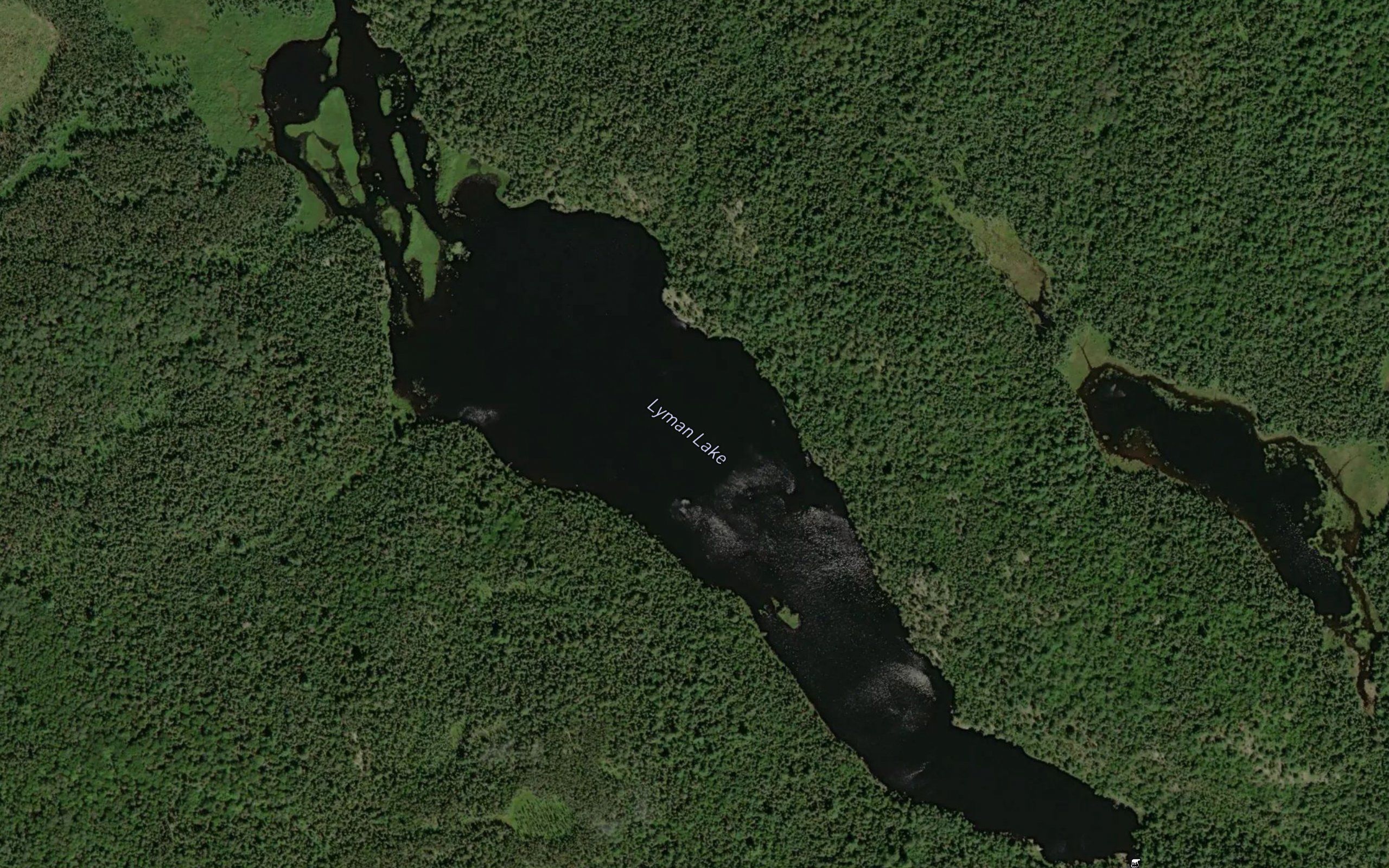 Lyman Lake