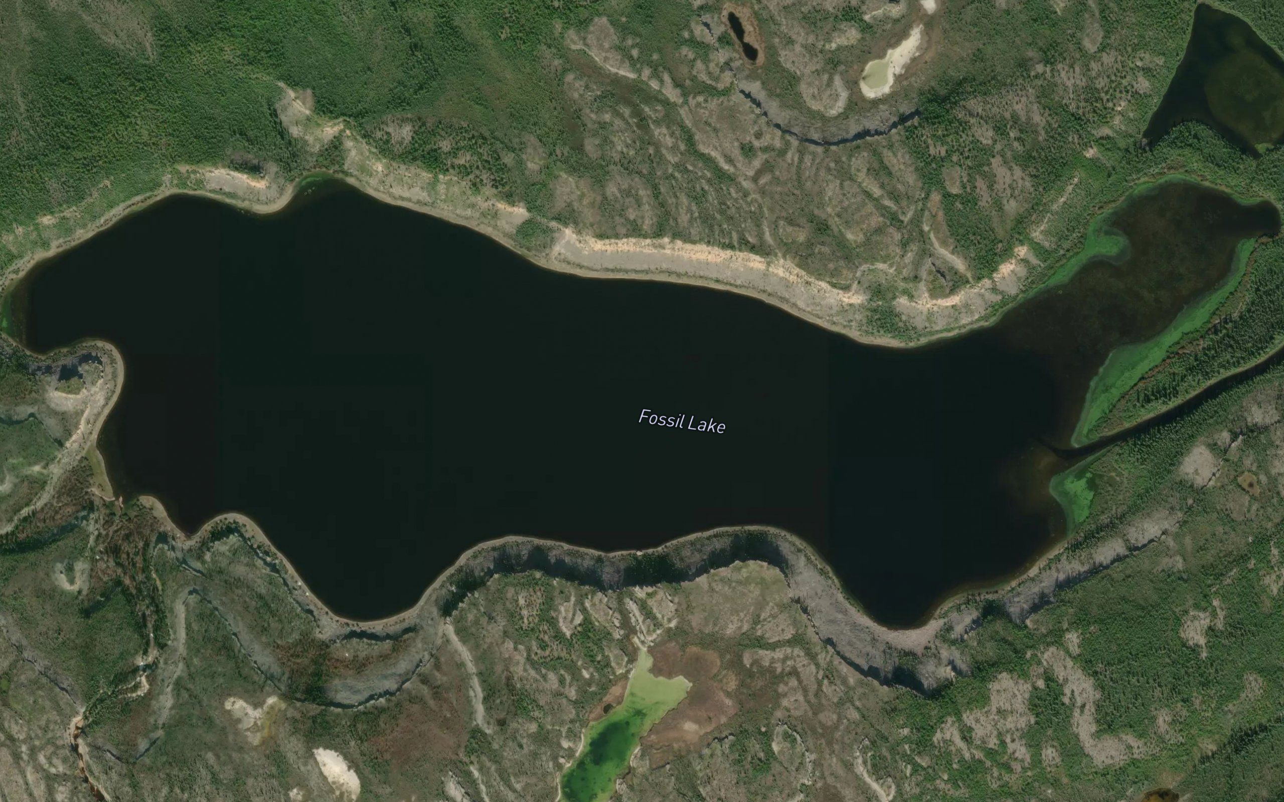 Fossil Lake