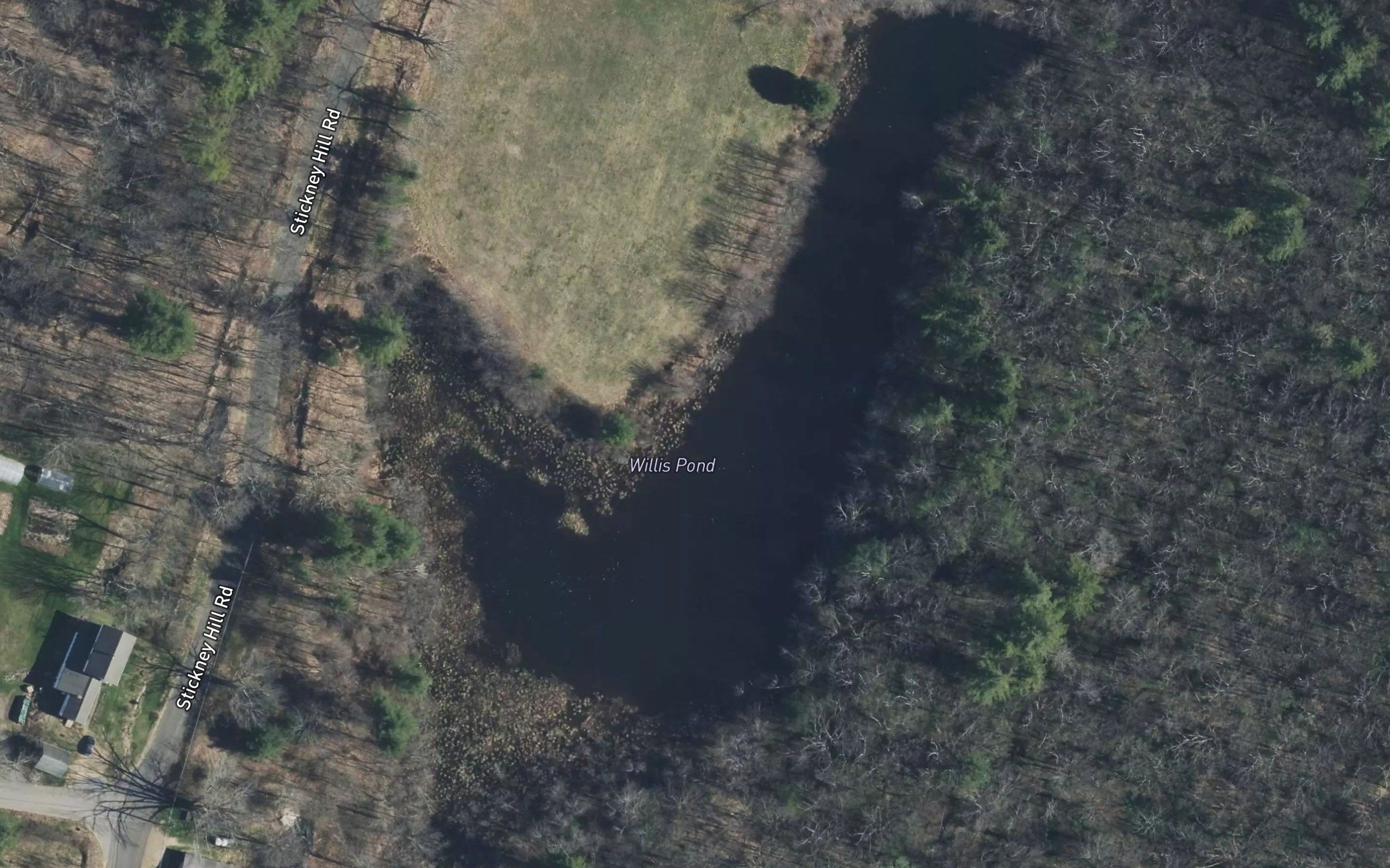 Willis Pond