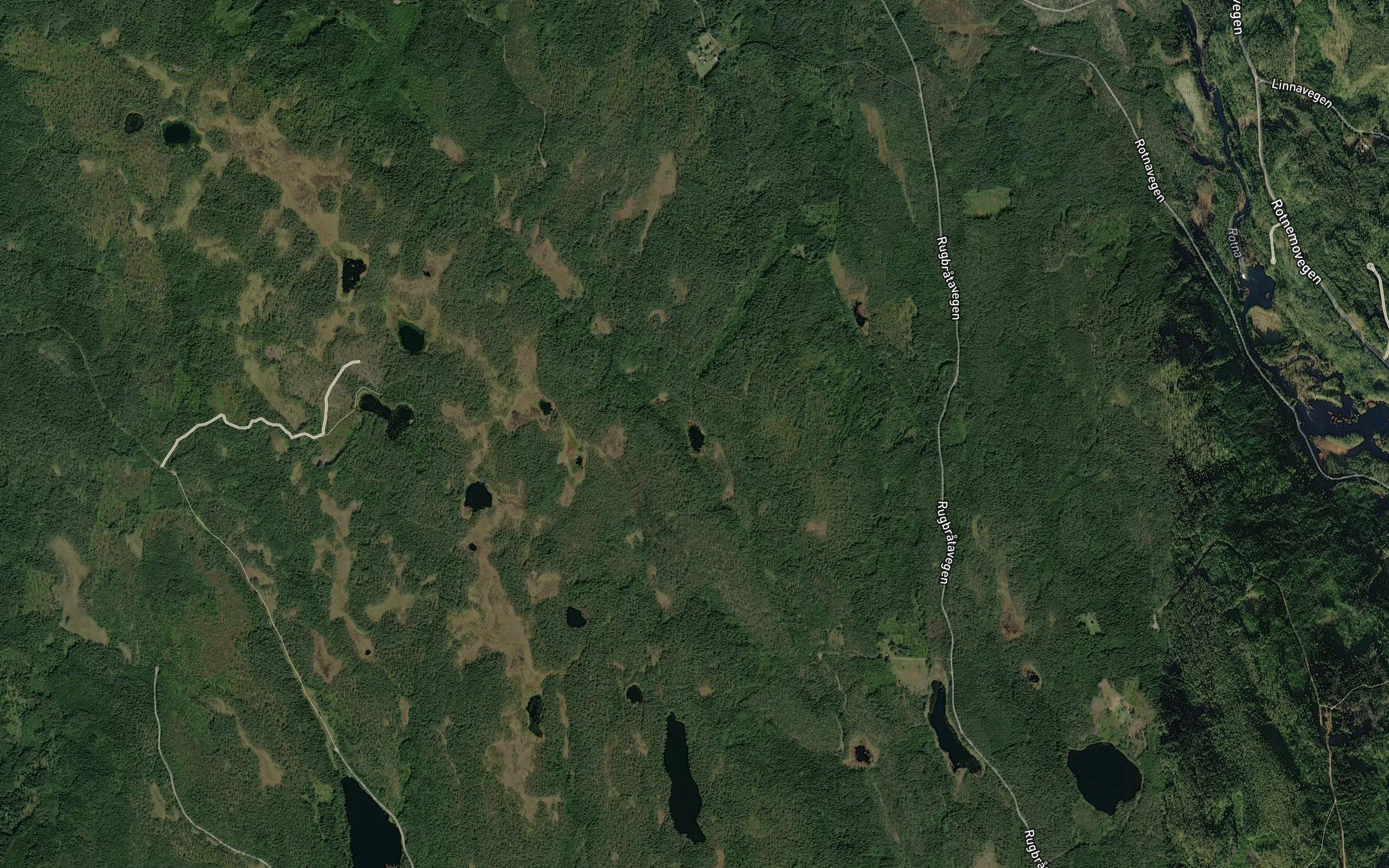Halvvegastjennet