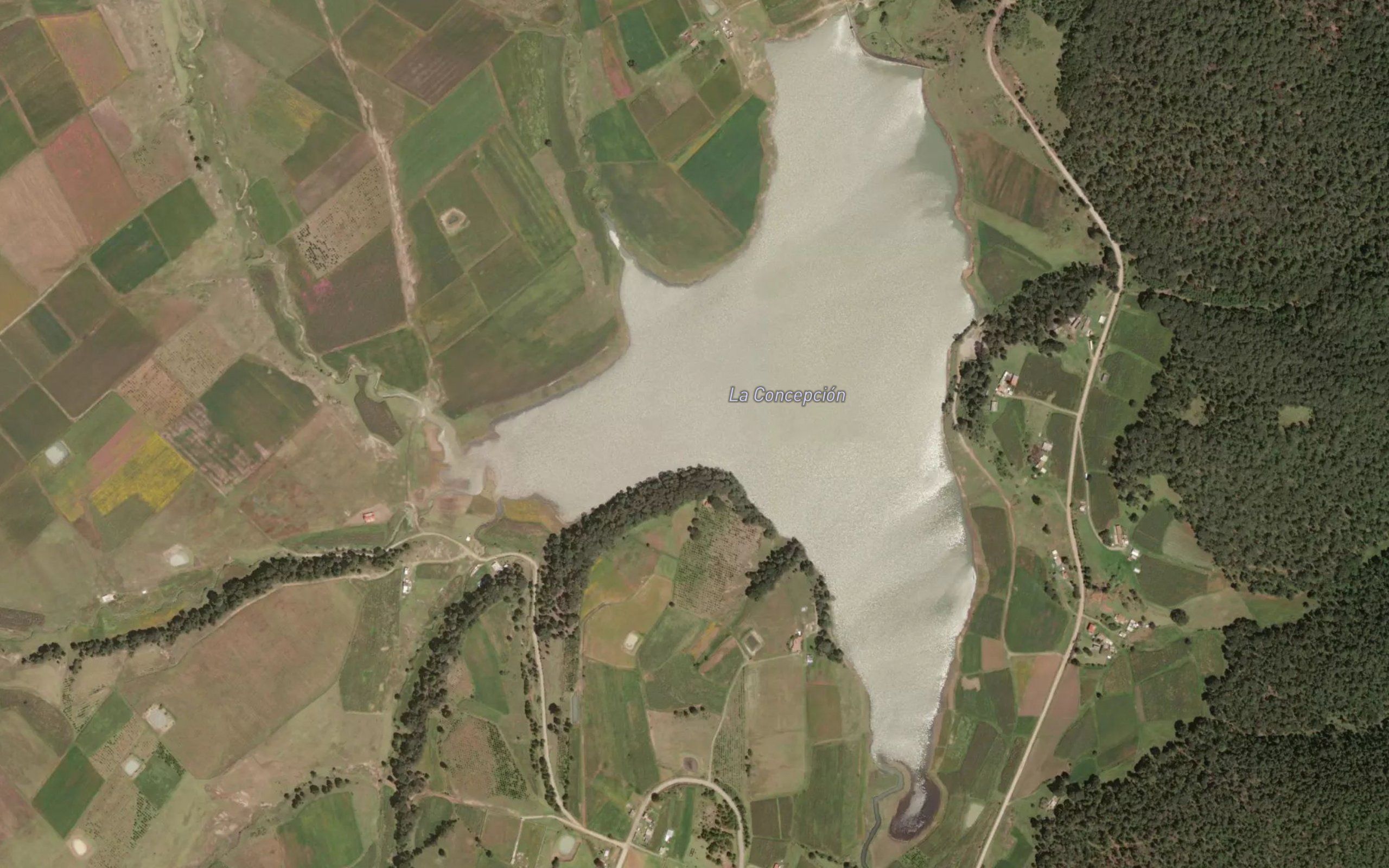 La Concepcion