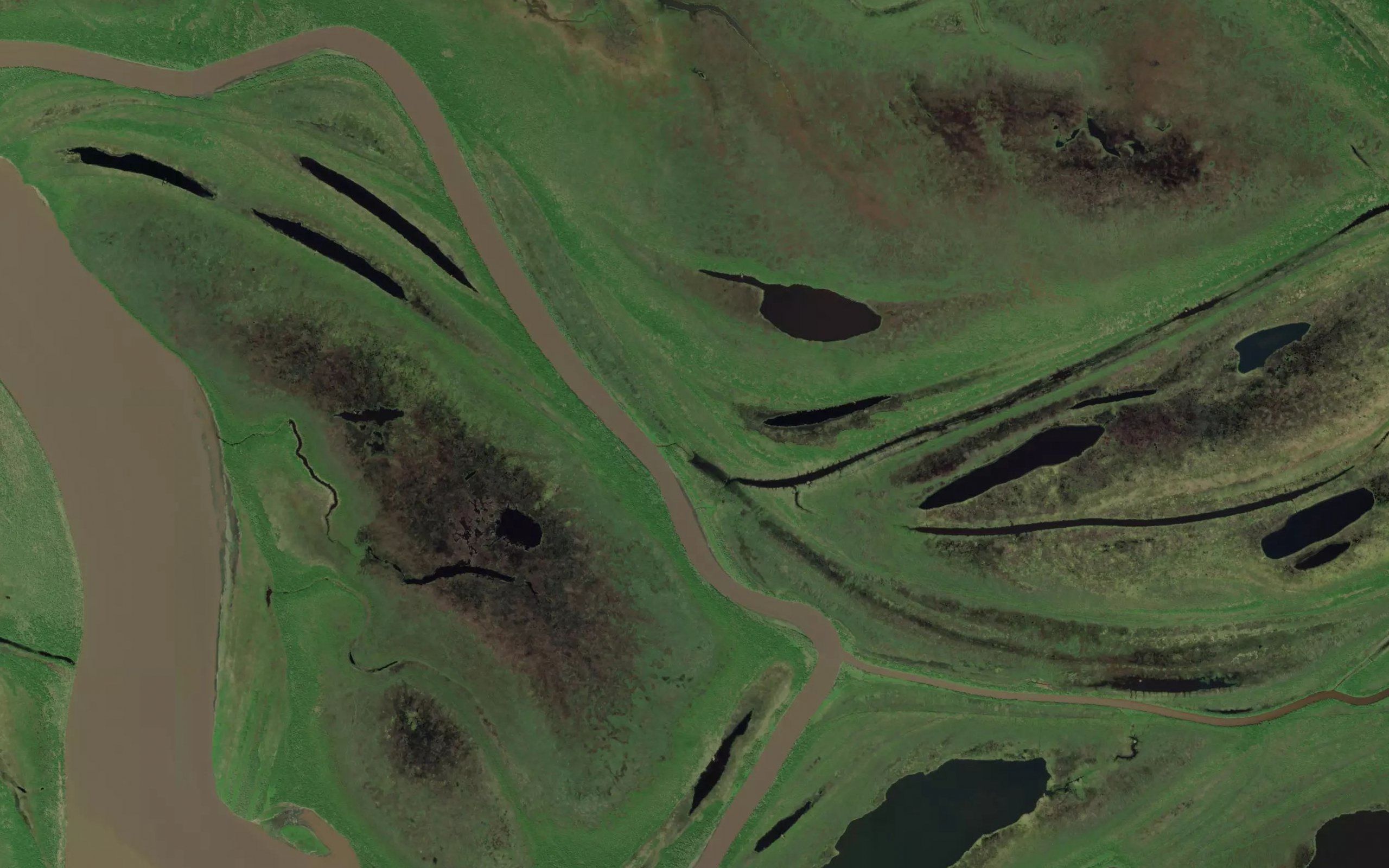 Gukyuk Slough