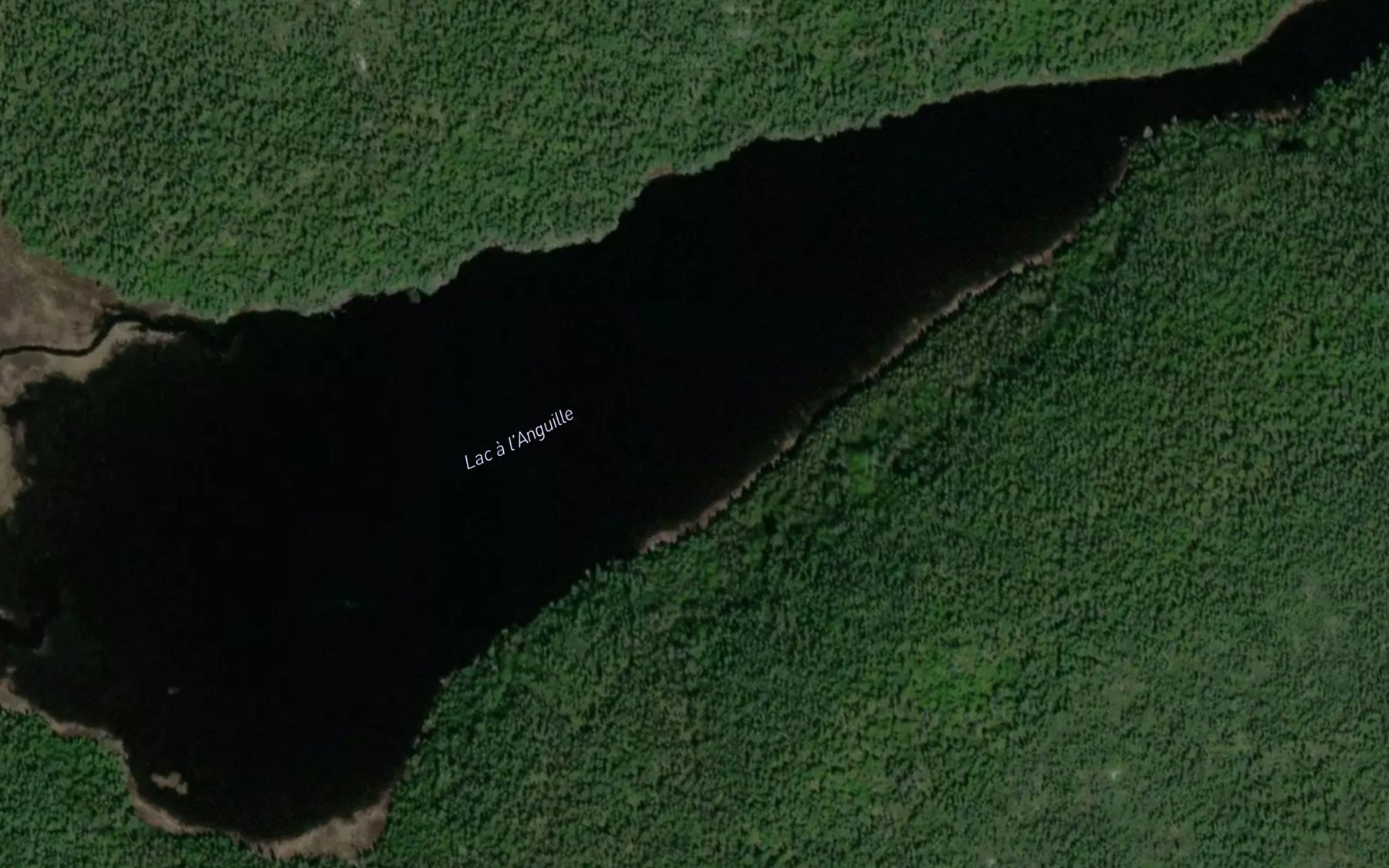 Satellite map of the Lac a l'Anguille
