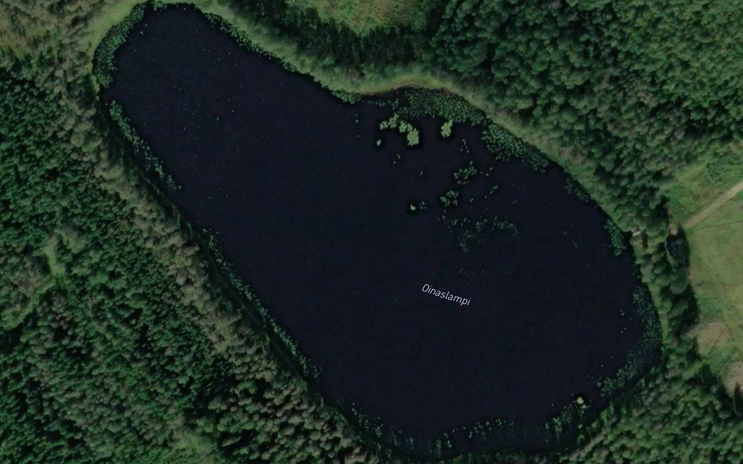 Oinaslampi