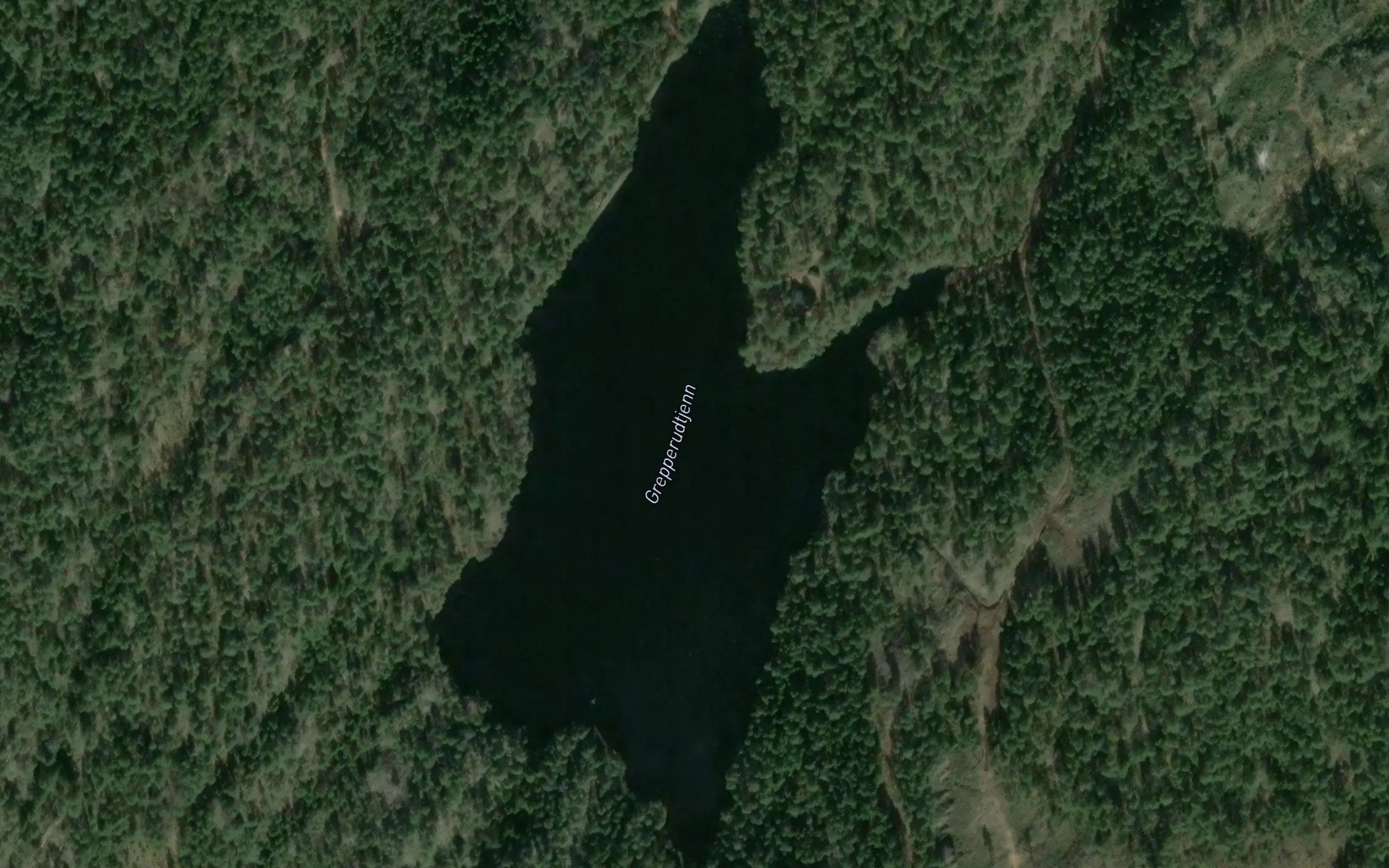 Grepperudtjennet