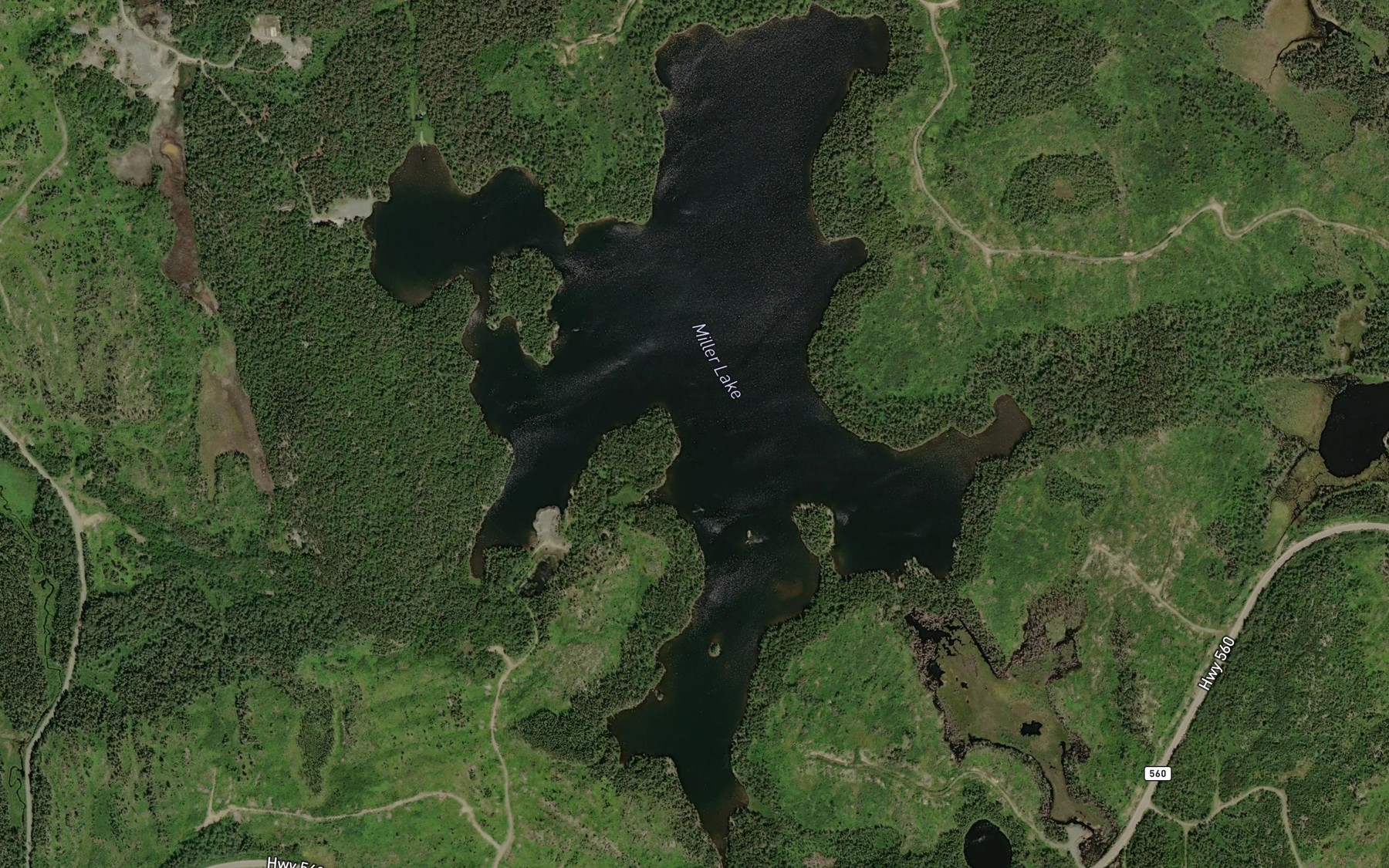 Satellite map of the Miller Lake