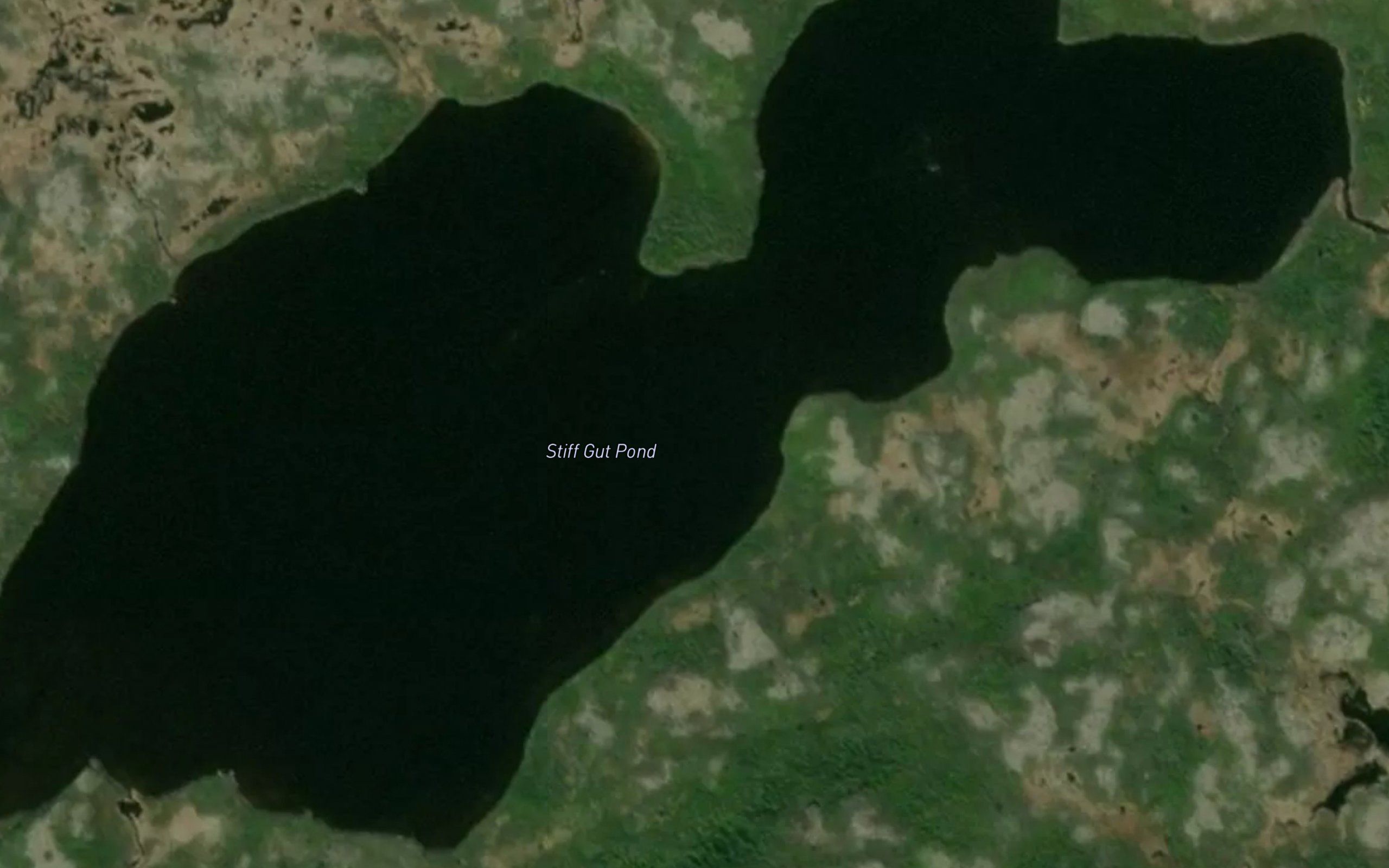Stiff Gut Pond