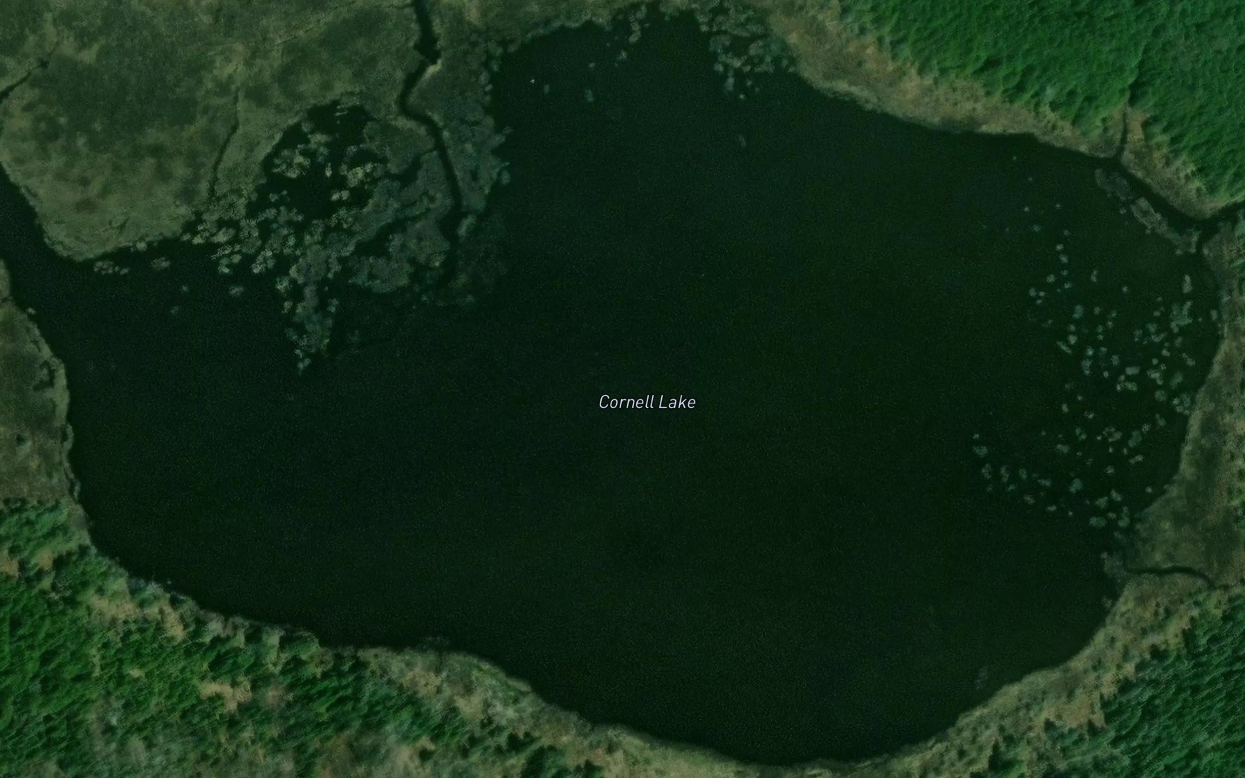 Satellite map of the Cornell Lake