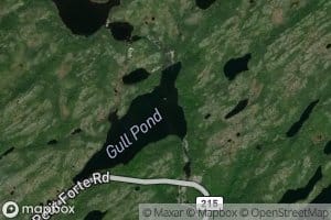 Gull Pond