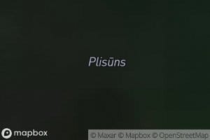 Plusons