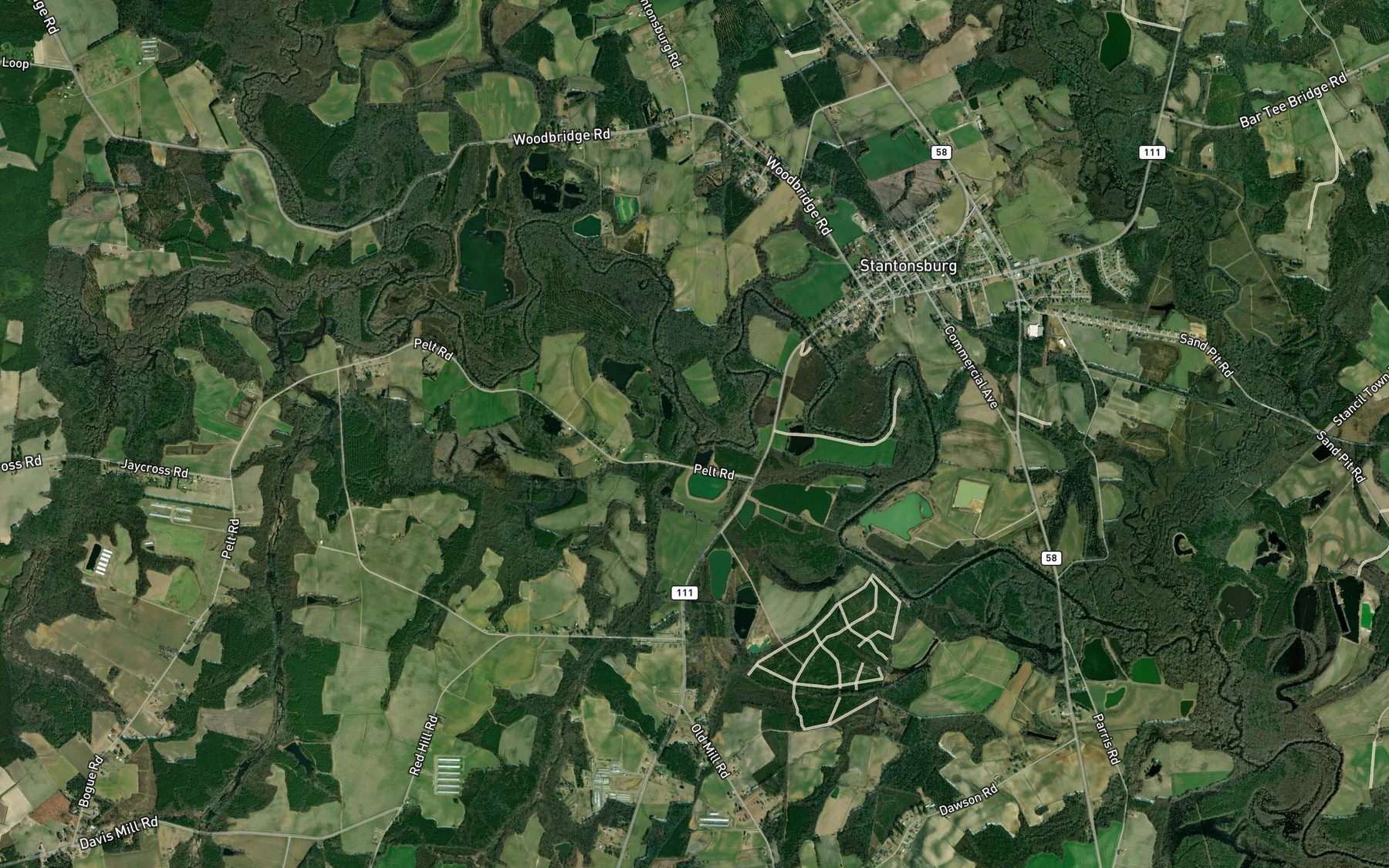 Satellite map of the Ivy Swamp