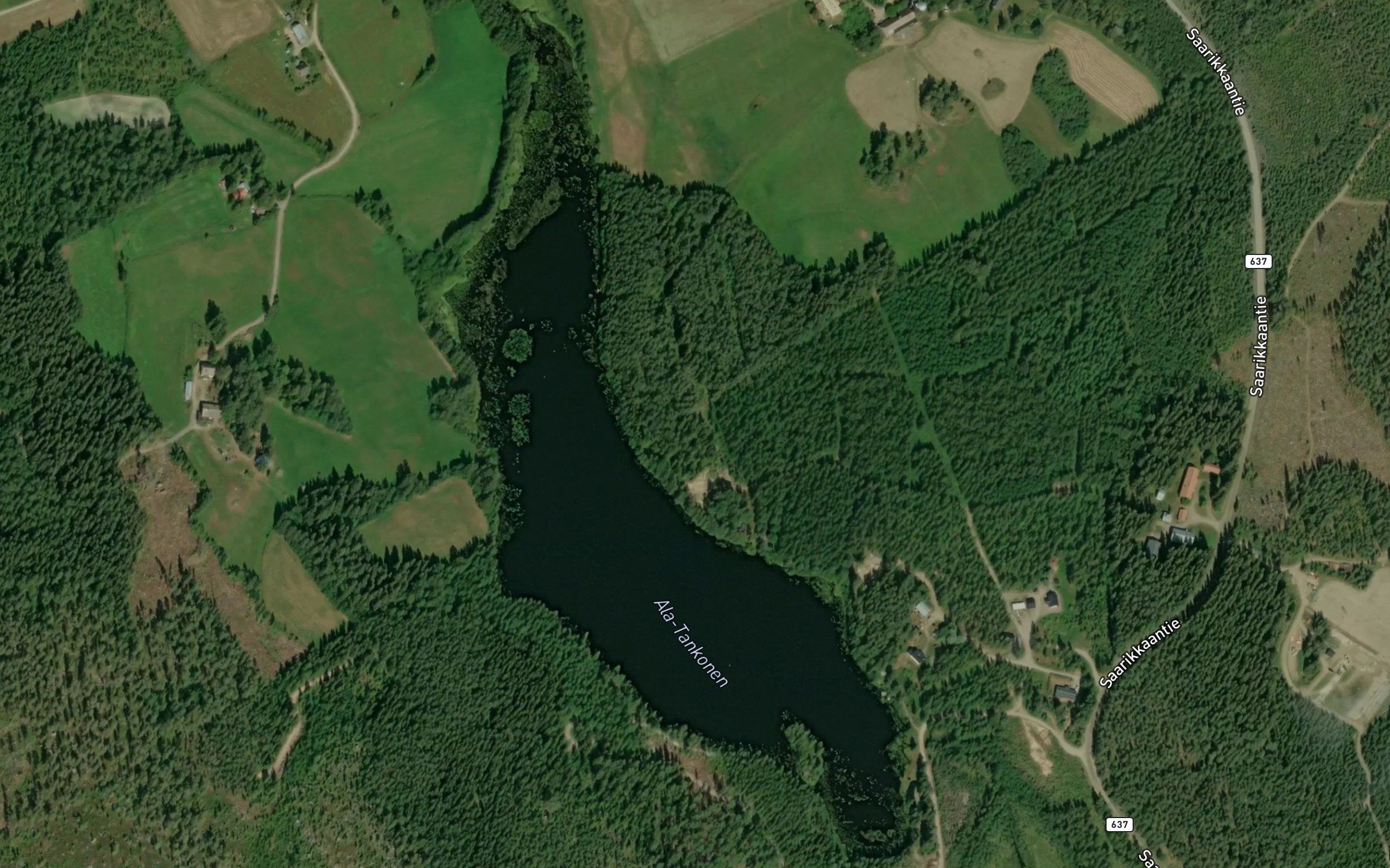 Ala-Tankonen