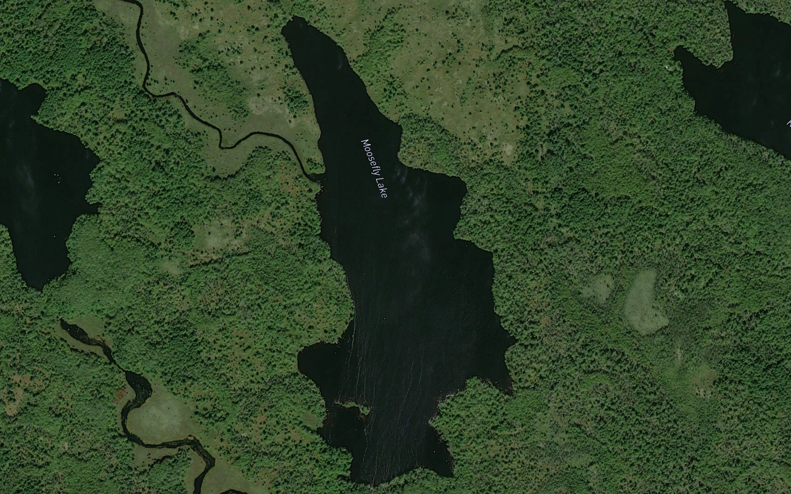 Moosefly Lake