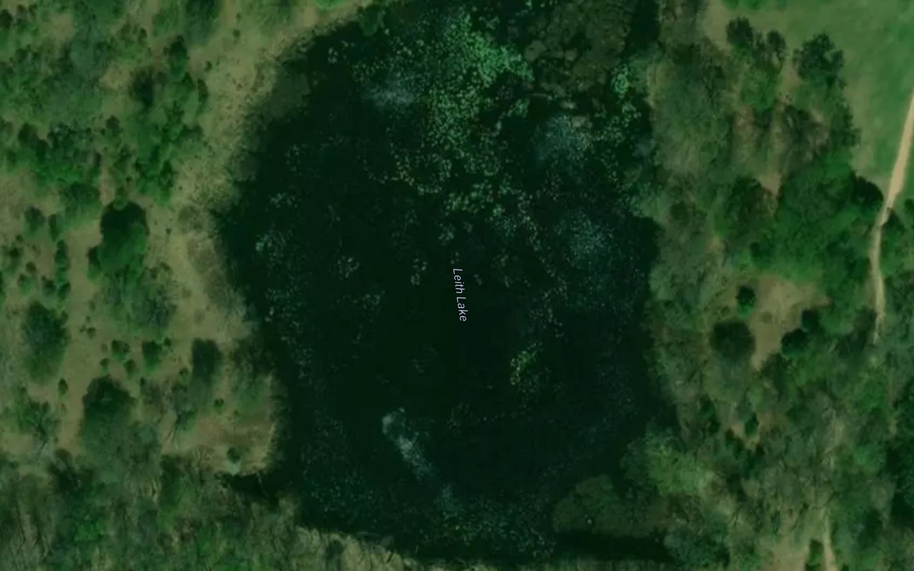Satellite map of the Leith Lake