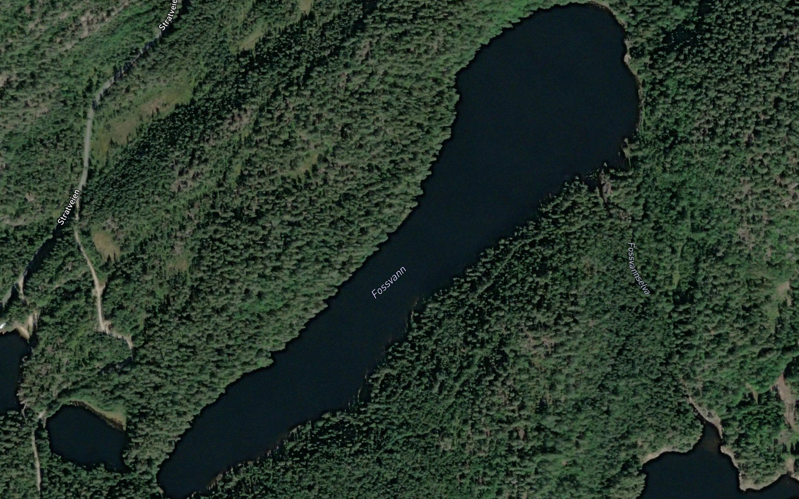 Fossvann