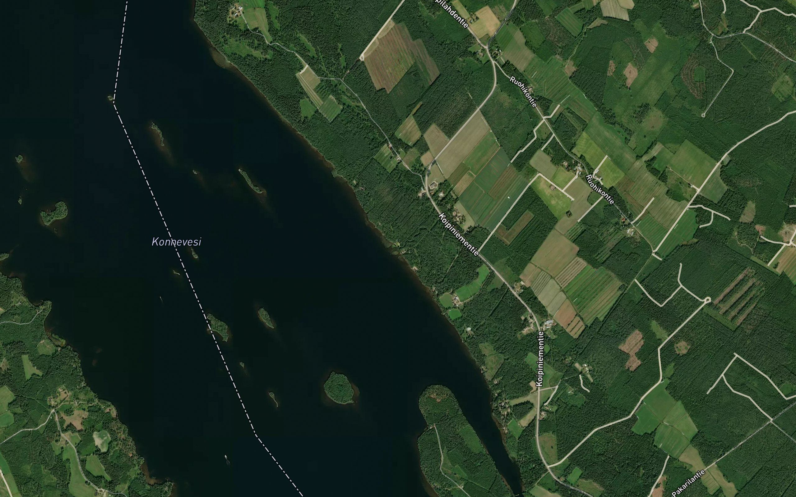 Heinjoki