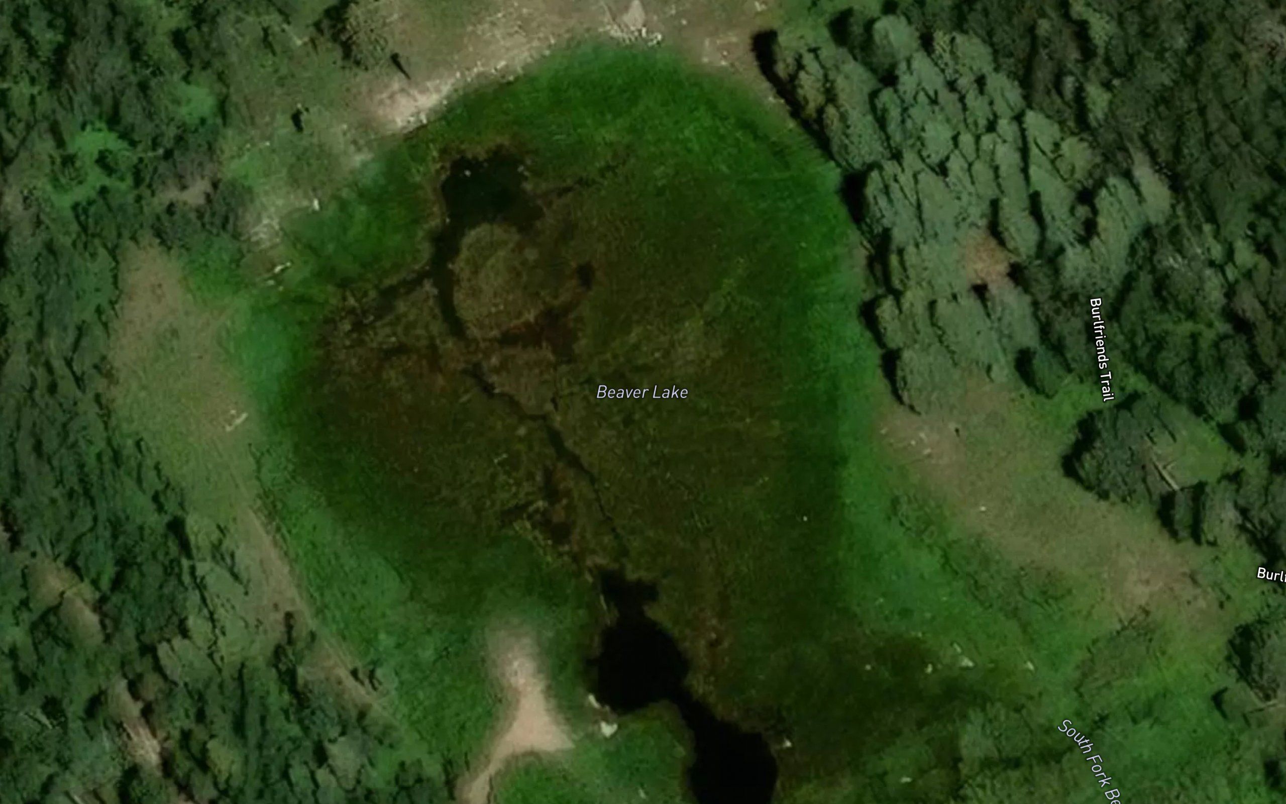 Beaver Lake