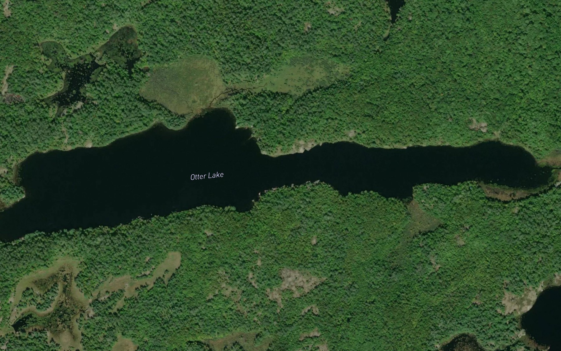 Satellite map of the Otter Lake