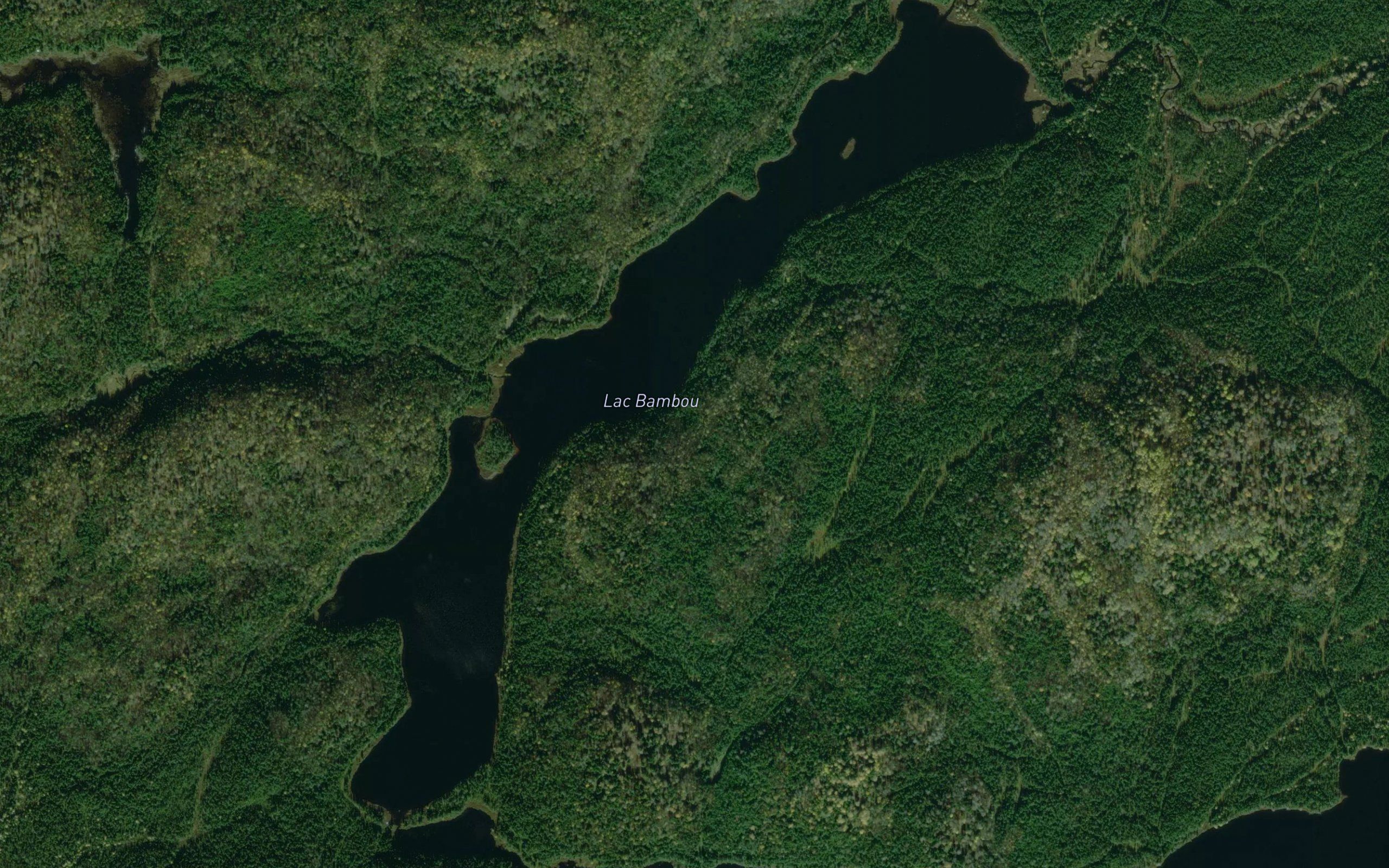 Lac Bambou