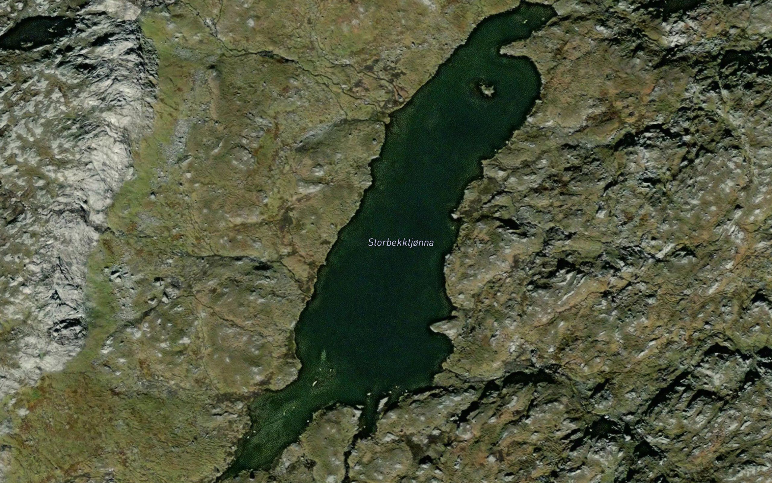 Storbekktjorna