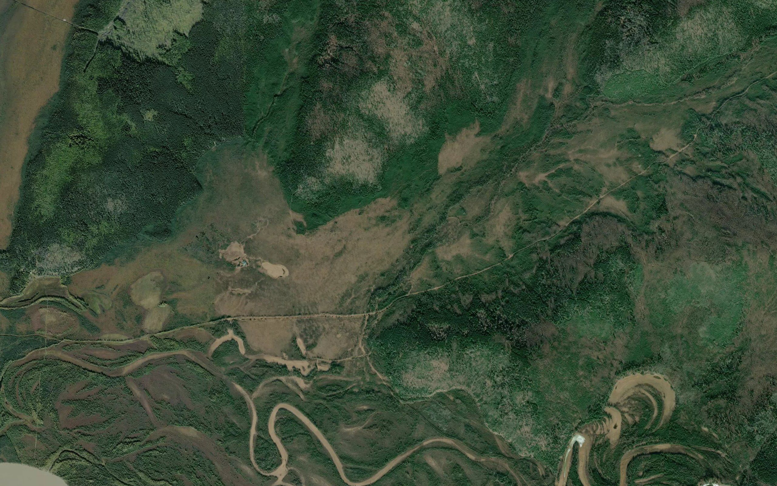 Progressive Creek