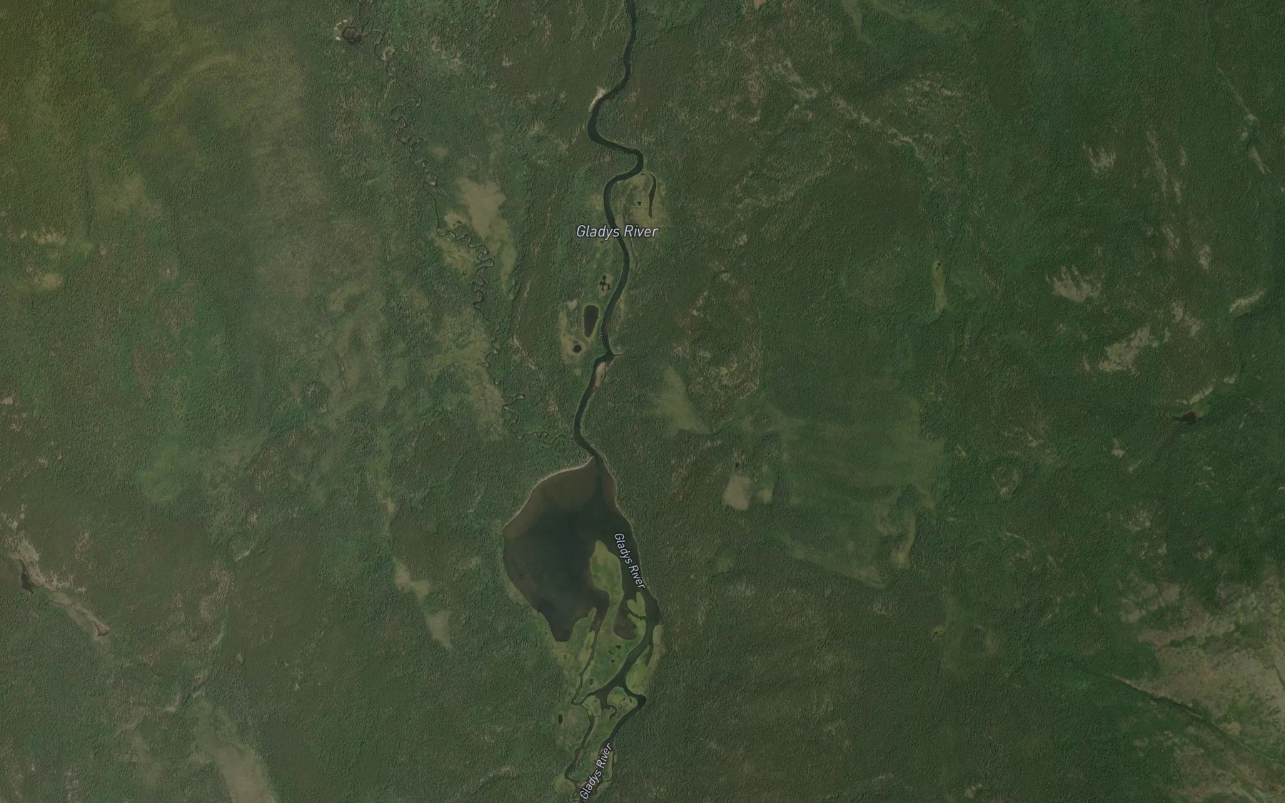 Satellite map of the Zenazie Creek