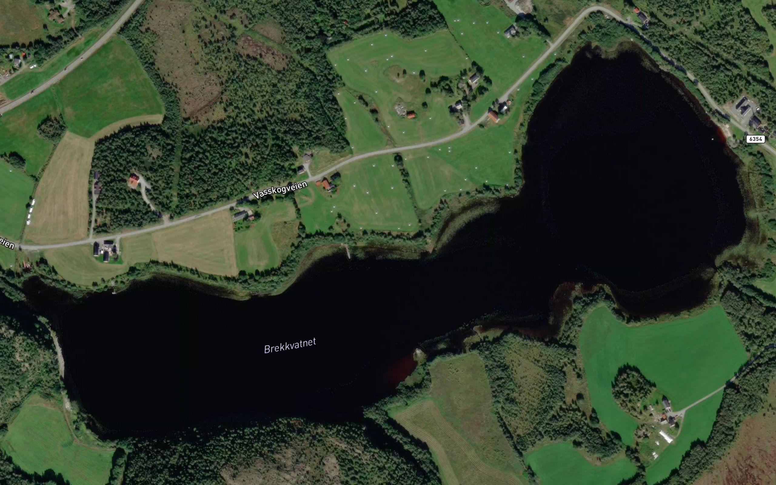 Brekkvatnet