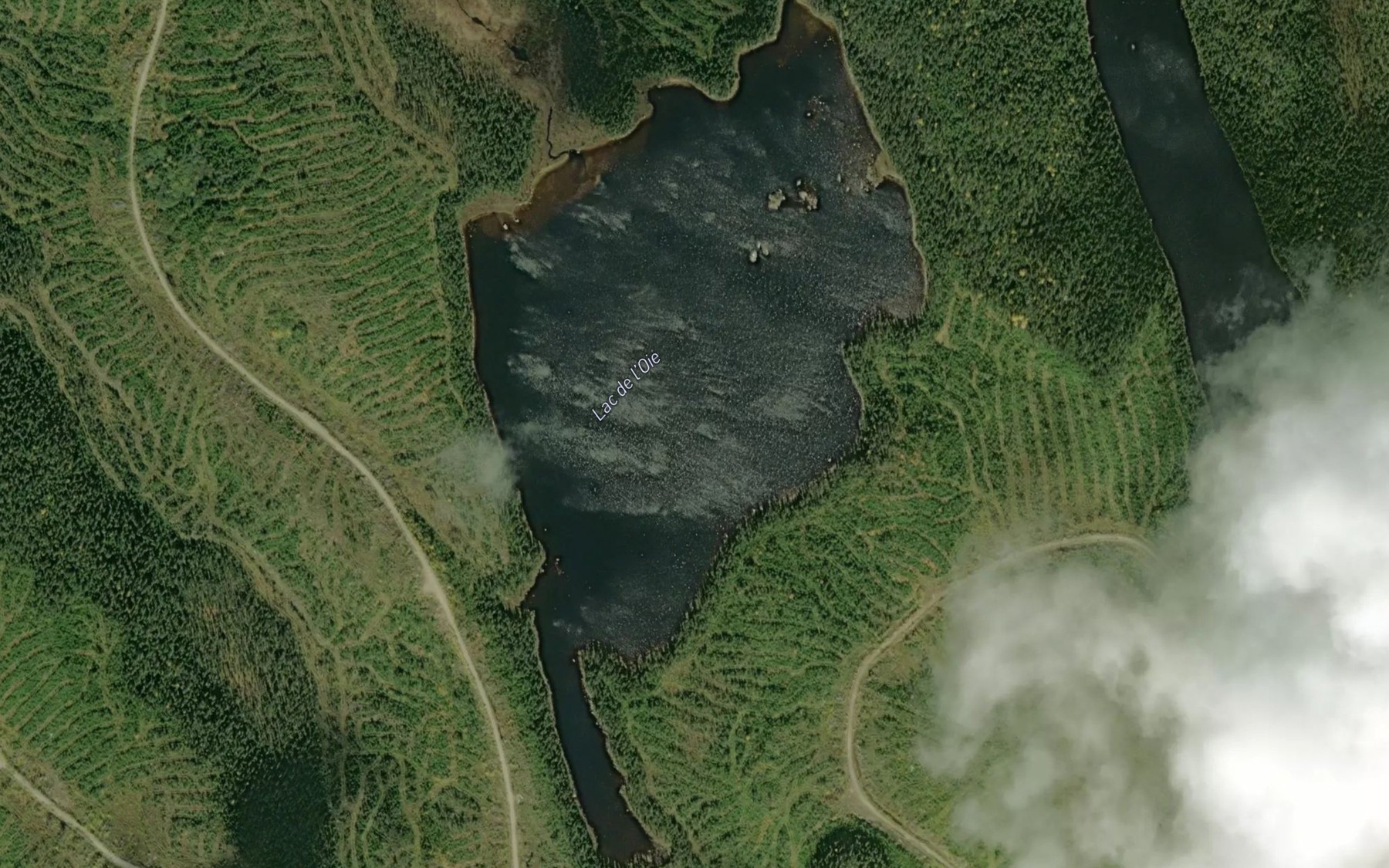 Satellite map of the Lac de l'Oie