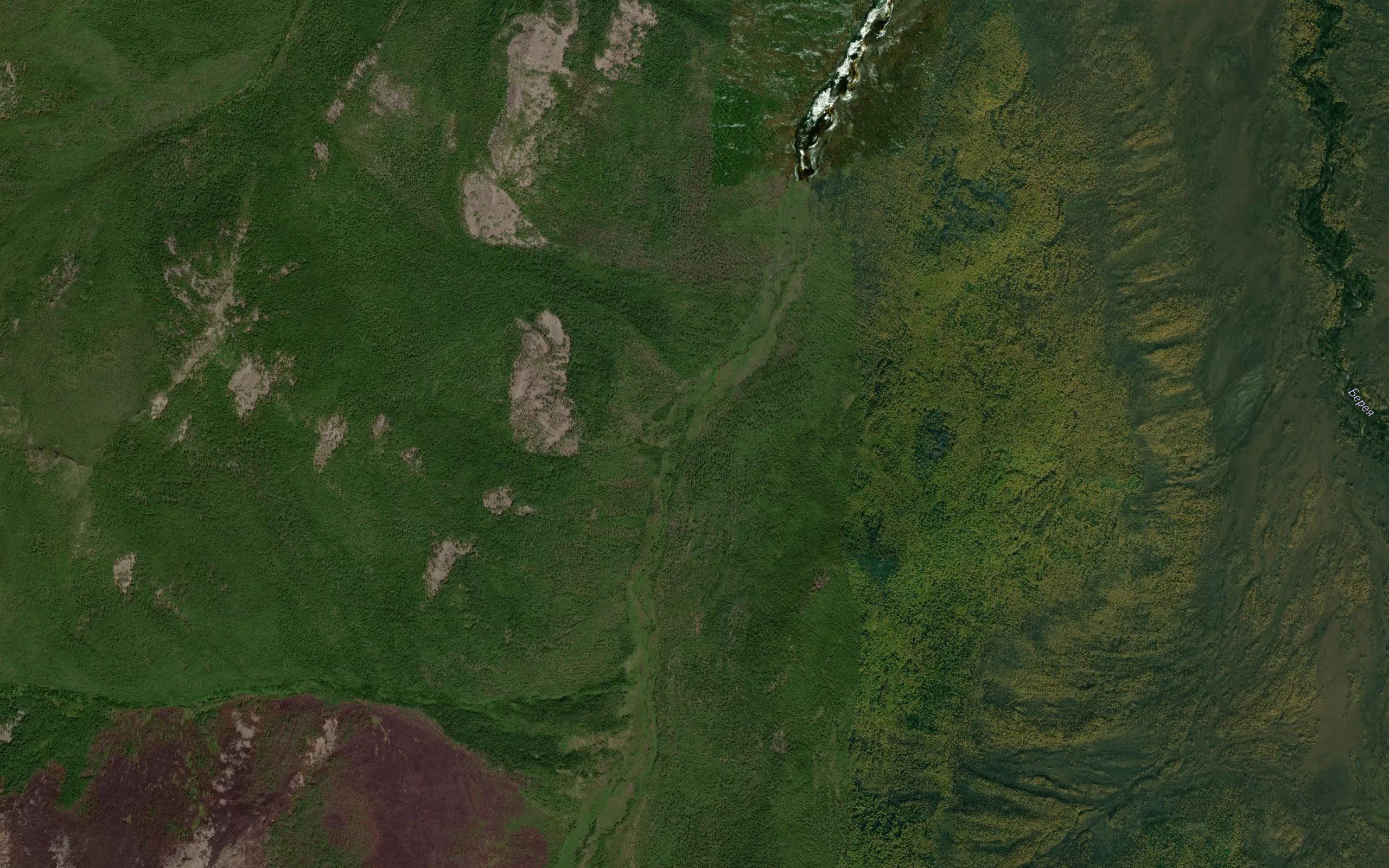 Taksomakit