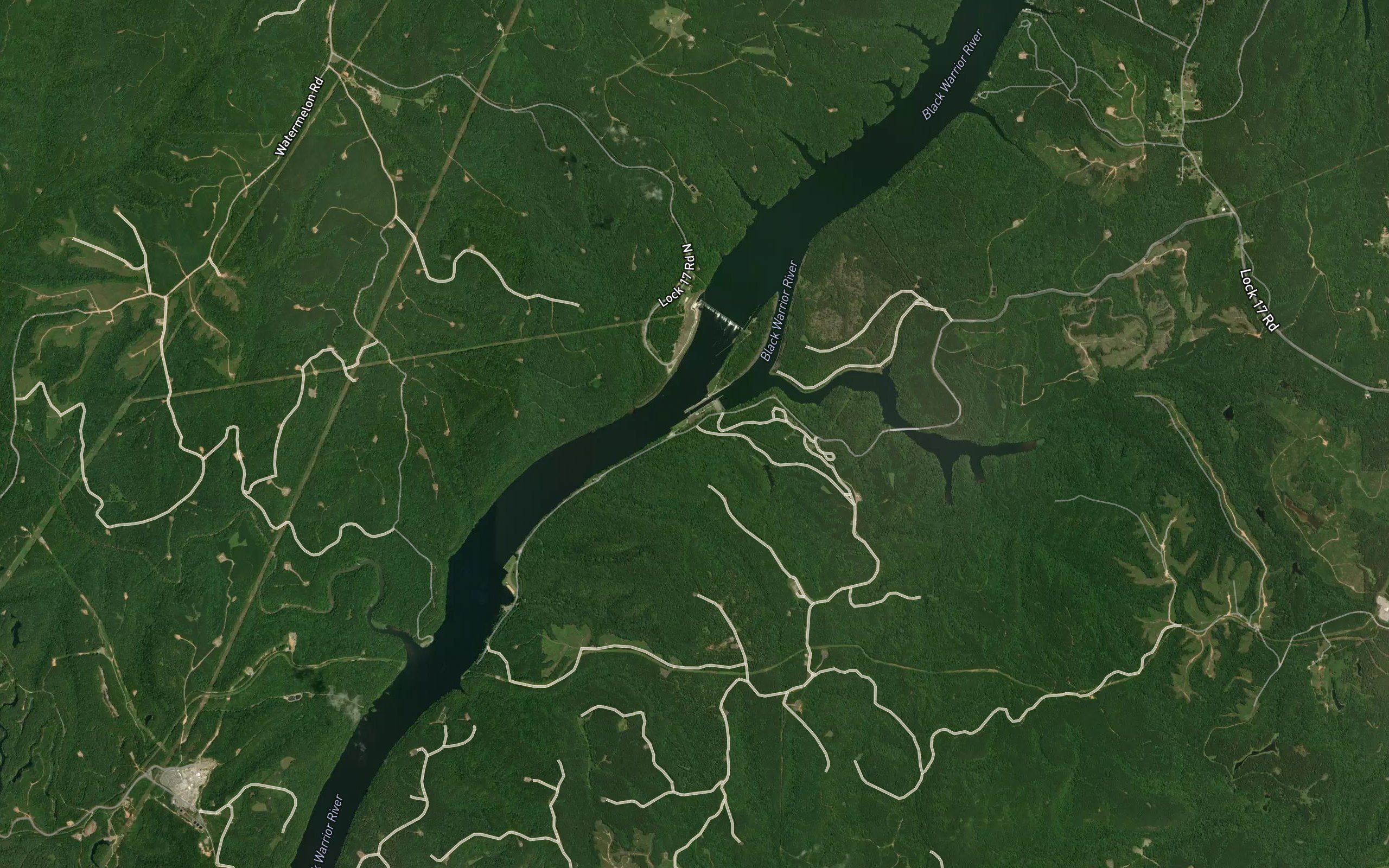 Island Branch