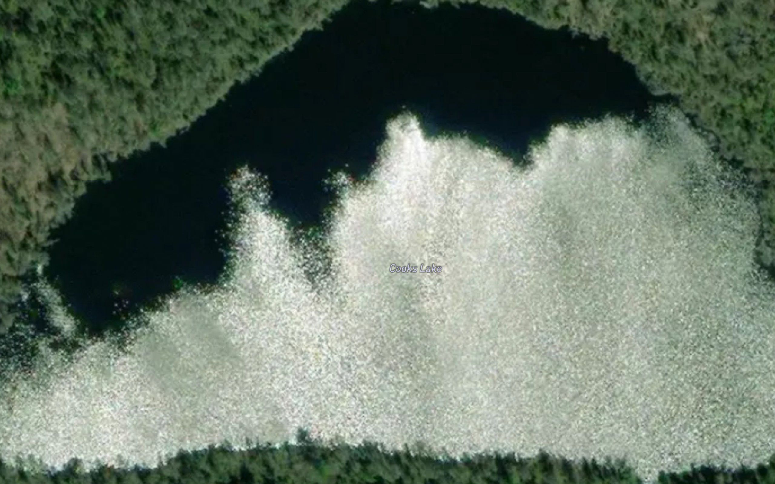 Cooks Lake