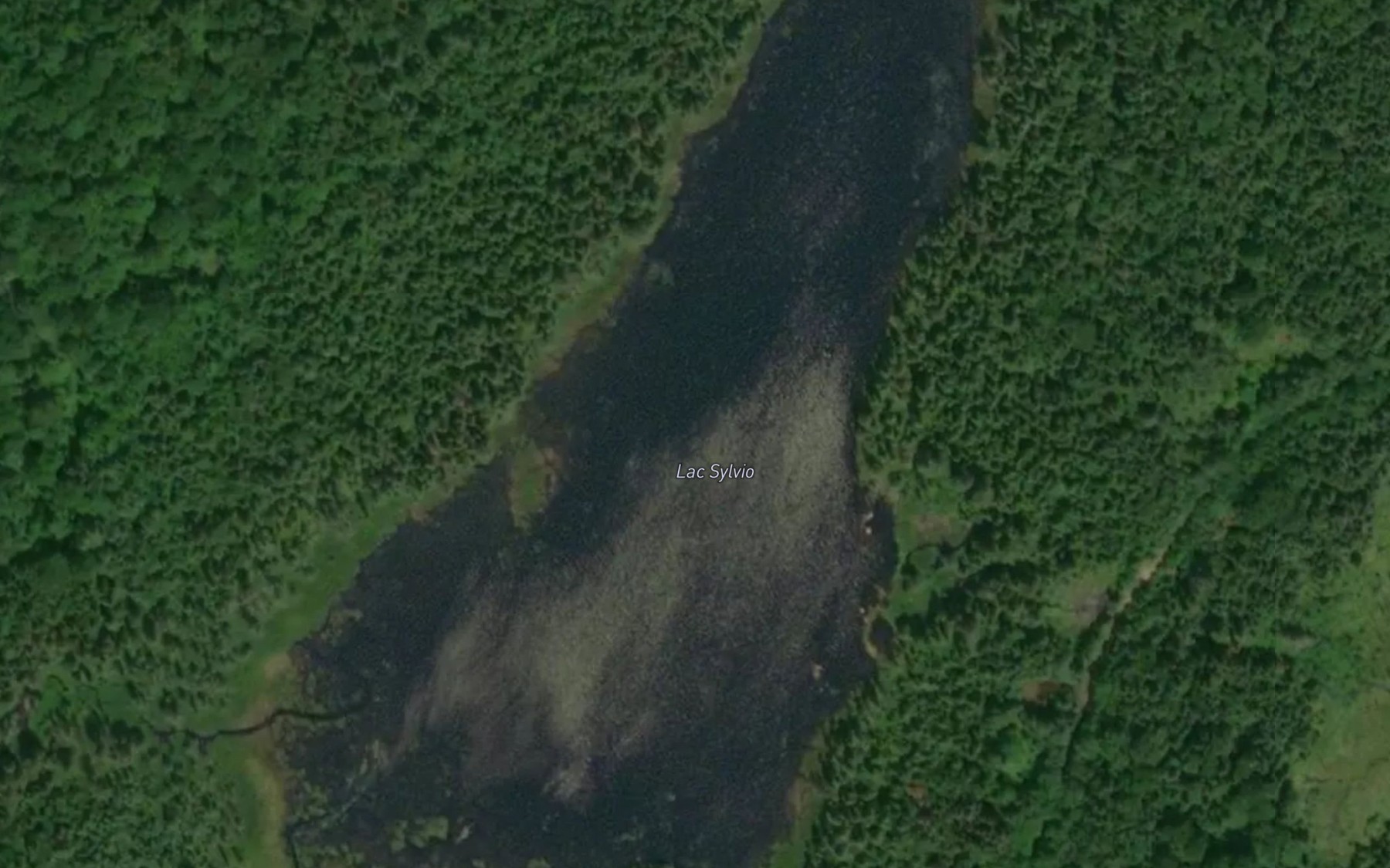 Satellite map of the Lac Sylvio