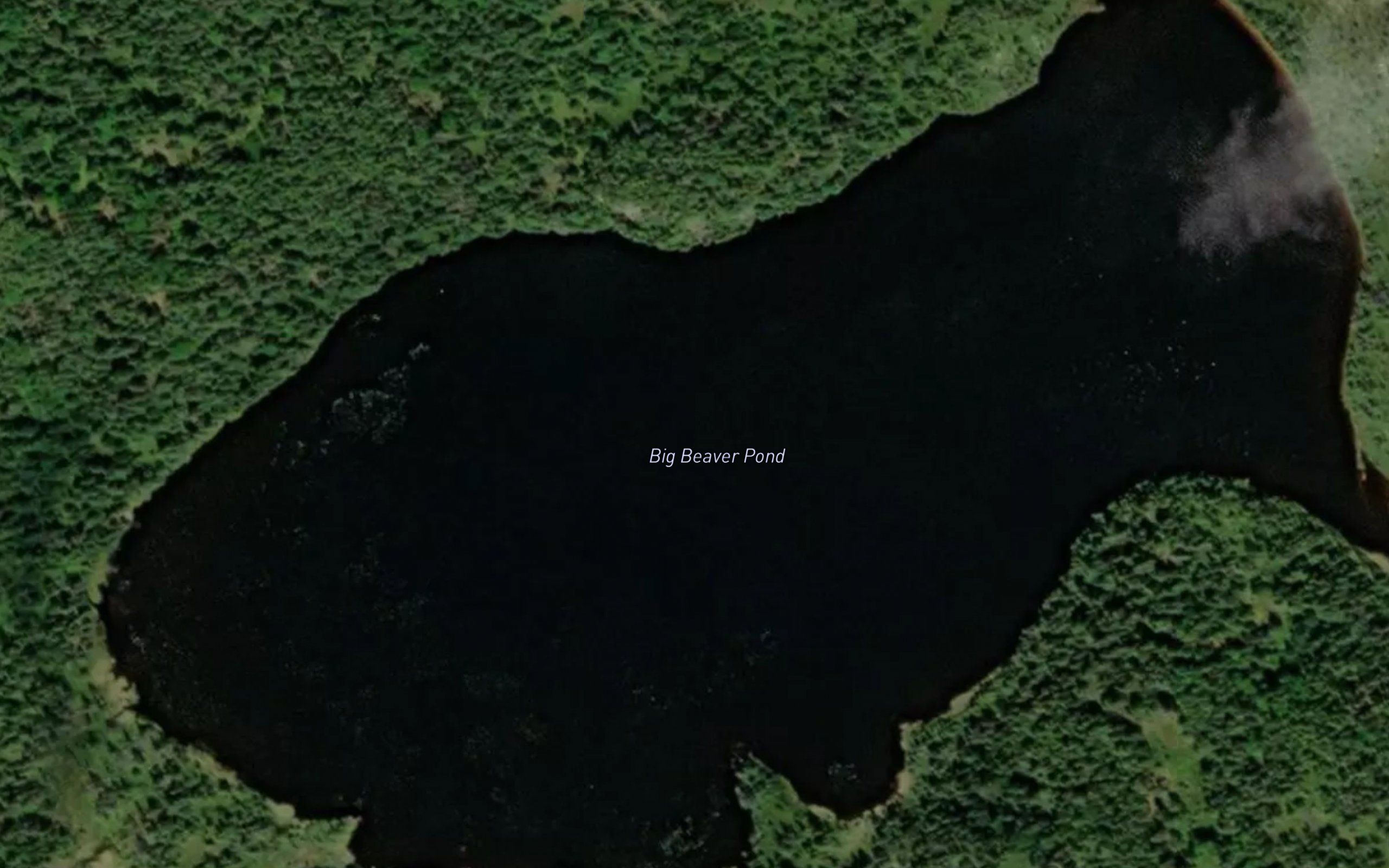 Big Beaver Pond
